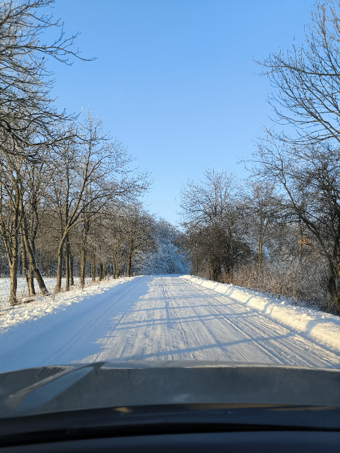 A snowy road stretches ahead, bordered by bare trees coated in frost and snow. A clear blue sky tops the scene. The road itself is covered in compacted snow with visible tire tracks. The viewpoint is from inside a vehicle, with part of the dashboard visible at the bottom of the frame. The sun shines brightly, casting long shadows across the road. The landscape evokes a sense of cold and quiet.