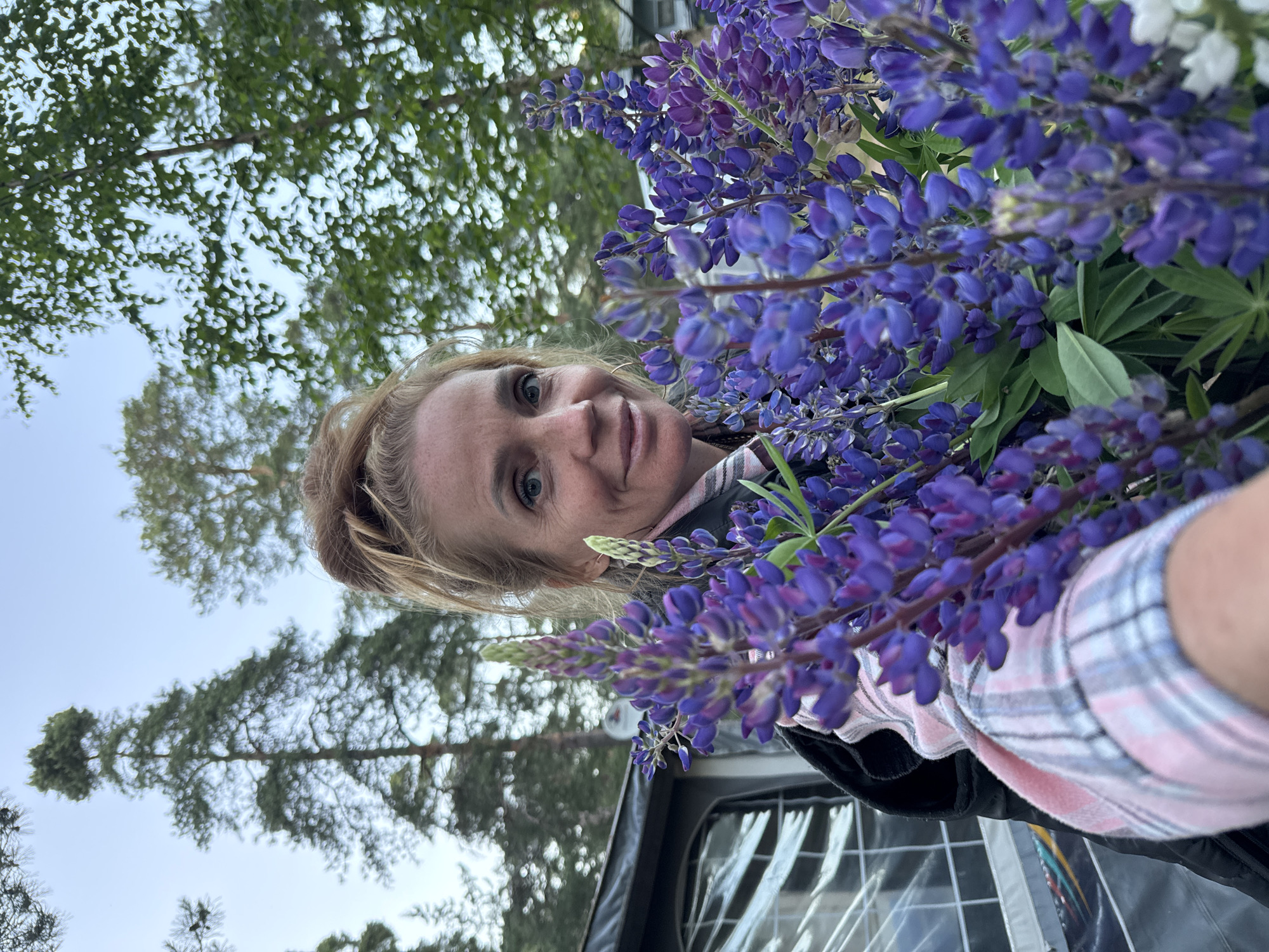A woman with blonde hair pulled into a bun is holding a bouquet of purple lupine flowers in the foreground. She is wearing a pink and white plaid shirt and a dark jacket. Her left arm is visible, holding the flowers. In the background, there is a tent and trees. The sky is visible above the trees. The image appears to be taken outdoors, possibly in a campsite or a park. The location is specified as Ozerki (Krasnodolinskaya), Russia.