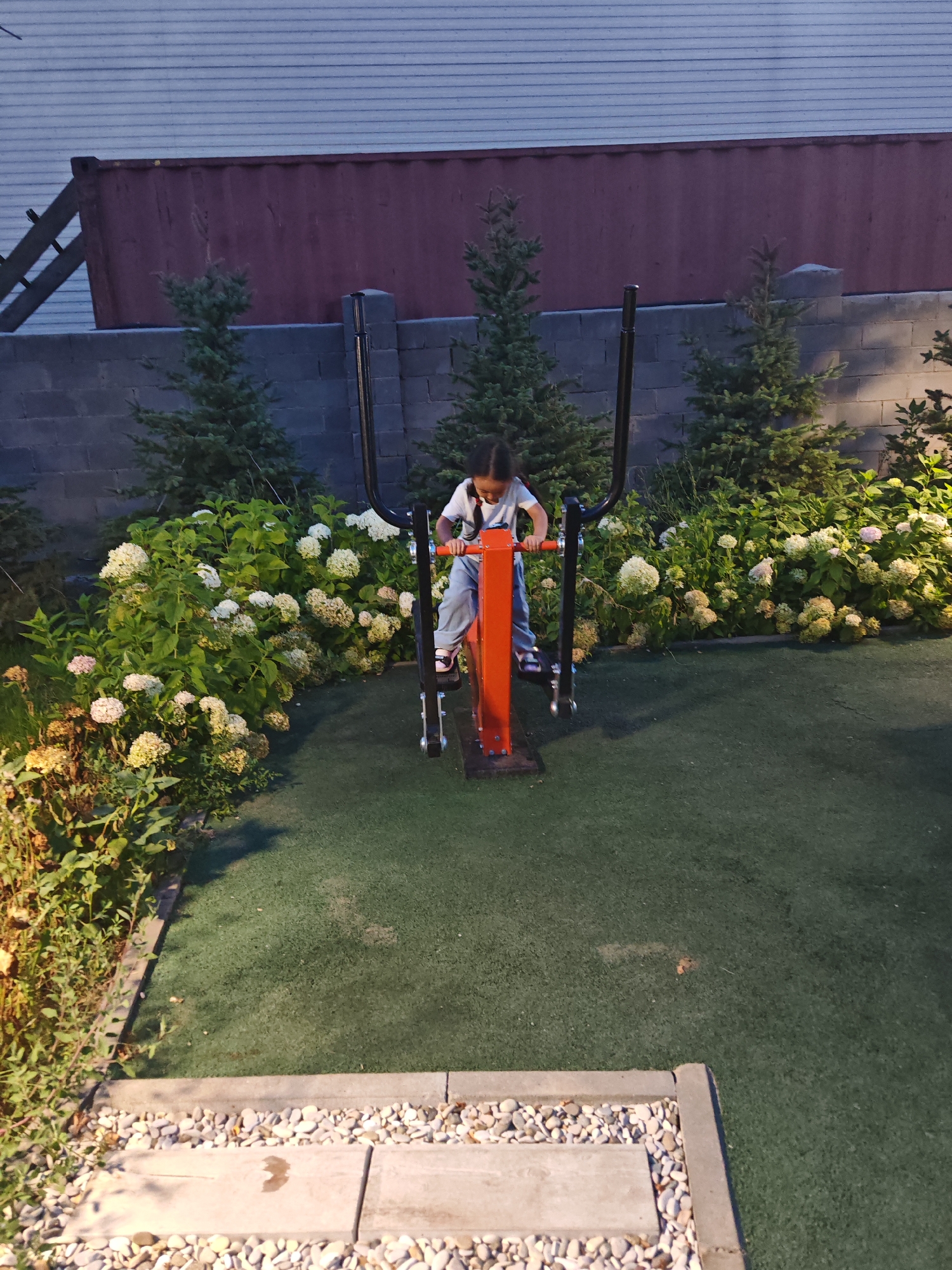 A young girl with dark hair tied in a braid is using an orange exercise machine in an outdoor playground. She is wearing a white t-shirt and blue jeans. The playground has a dark gray brick wall in the background, beyond which is a red shipping container. There are several small evergreen trees planted in front of the wall. To the left of the exercise machine, there is a lush green area with large white and pink flowers. The ground of the playground is covered in artificial turf. In the foreground, there is a border made of concrete and small grey and white stones. The lighting suggests it is dusk or evening. The specific location in Kokshetau, Kazakhstan cannot be determined from the image alone.