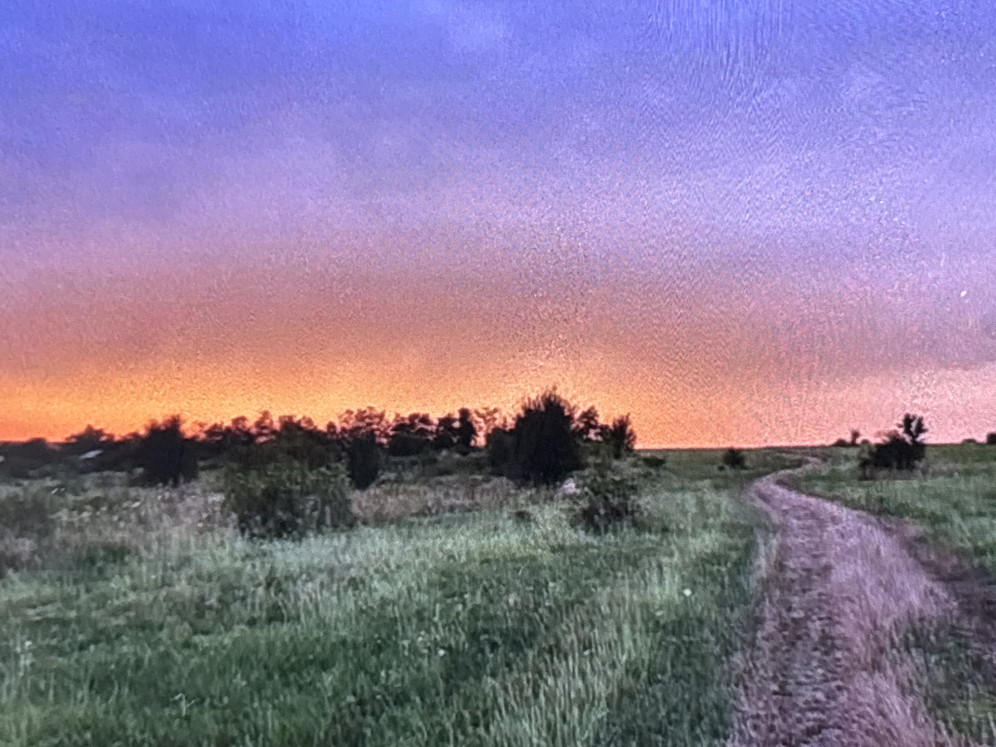 The image depicts a peaceful, open landscape scene, likely captured during either sunrise or sunset due to the striking sky colors. The upper portion of the frame is dominated by a clear sky, displaying a vivid gradient. It transitions from a deep blue at the very top, blending into a soft lavender and purple in the mid-sky, and then shifting to a warm orange-red near the horizon. A subtle, textured grid-like pattern is visible across the sky, suggesting the image might be a photograph of a screen or display.
The lower half of the scene features a sprawling grassy field, characterized by various shades of green and natural growth. A narrow dirt or gravel path winds gently from the right foreground, curving slightly as it extends into the midground, inviting exploration. Along the horizon, a line of silhouetted bushes and small trees creates a dark, undulating border between the field and the vibrant sky. These distant trees appear somewhat blurred. There are no people visible, and no specific activities are taking place, contributing to a sense of untouched natural tranquility. The overall mood is serene and contemplative, highlighting the natural beauty of the landscape during the golden hour. No visible text is present in the image.