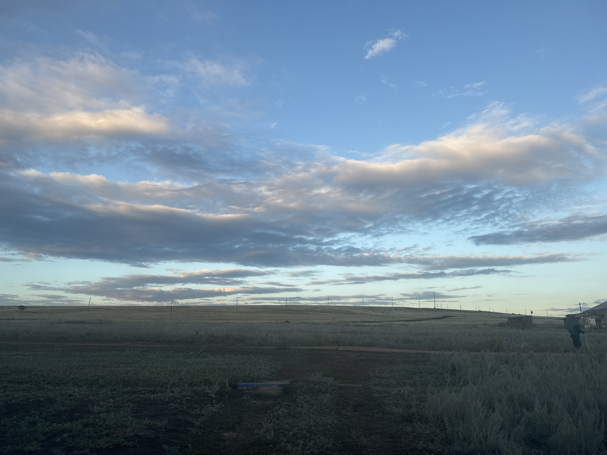 The image captures a rural landscape under a dynamic sky, likely at dusk or dawn, in Васильевка, Russia. The foreground consists of a grassy field with a visible dirt path or road traversing it. In the middle ground, rolling hills are covered in dry grass and dotted with utility poles. The sky is a prominent feature, filled with a mix of white and gray clouds against a bright blue backdrop, illuminated by soft, warm light. On the far right of the middle ground, a person dressed in dark clothing stands holding a long, white object, possibly a stick or pole, near a rustic wooden structure. Another small, darker structure is visible further back on the hillside. A solitary tree stands on the horizon to the left. The overall impression is one of a serene, open, and sparsely populated rural environment.
