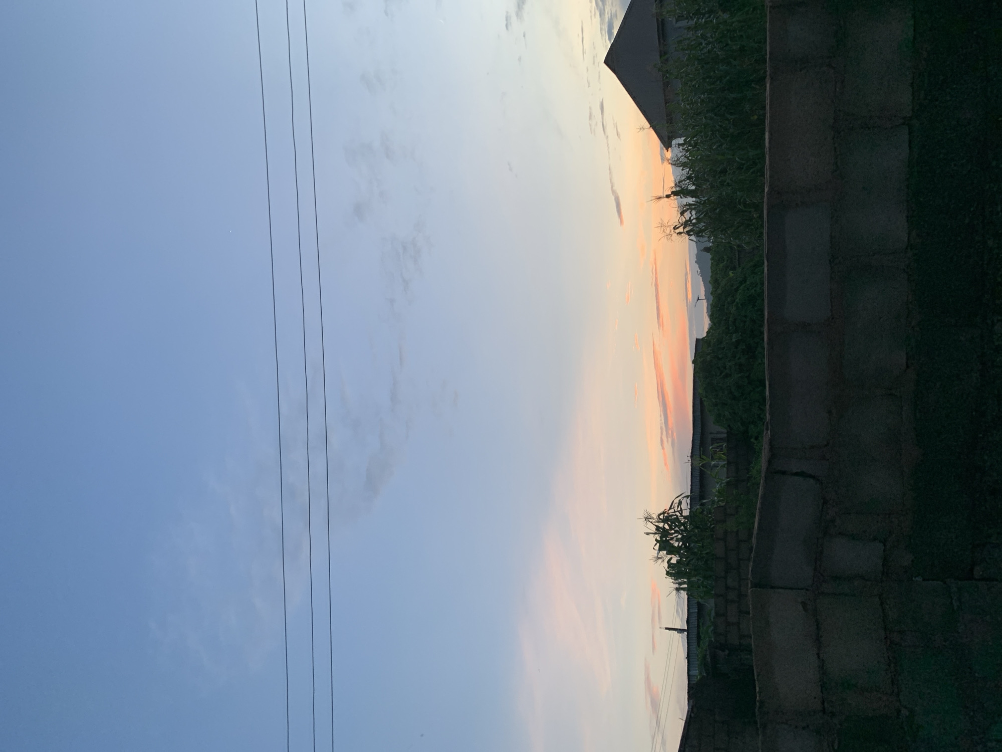 A telephoto shot captures a rural or suburban landscape at dusk, likely in Unknown, Unknown. The sky is a gradient of soft blues and pinks, with a few wispy clouds. Three parallel power lines stretch horizontally across the upper portion of the frame. In the middle ground, a thicket of green foliage, possibly corn stalks, obscures much of the background. A pitched-roof building with a dark facade is visible to the right, partially obscured by the vegetation. A dark brick wall, weathered and rough, dominates the foreground, creating a strong horizontal line. The overall impression is one of quiet evening ambiance, with a hint of agricultural presence.