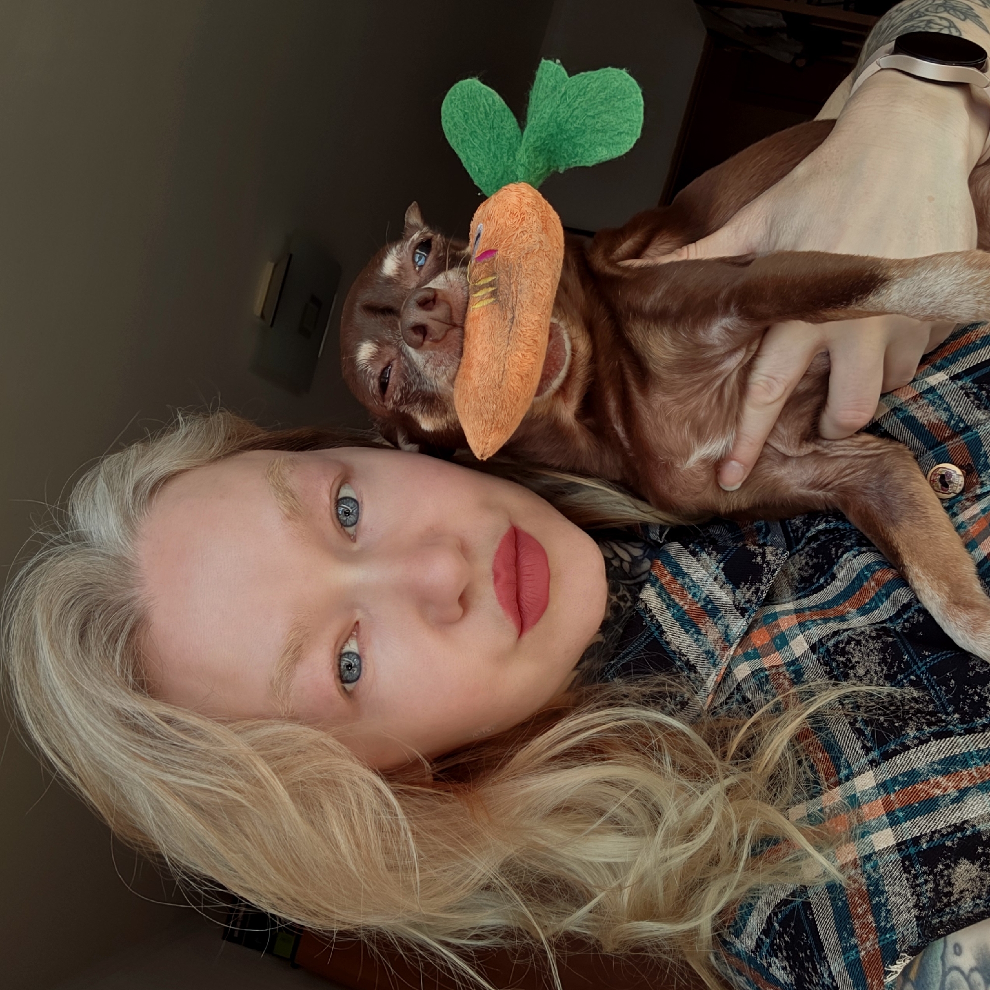 This media file captures a selfie-style, rotated portrait of a woman and a small dog indoors. The image is rotated approximately 90 degrees counter-clockwise, showing the subjects from a perspective as if they are lying down.
The primary subject is a young woman with fair skin, prominent blue eyes, and long, wavy blonde hair with noticeable grey roots. She is wearing red lipstick. She is dressed in a plaid flannel shirt, featuring patterns of blue, orange, and white. A tattoo with intricate designs is visible on her left arm, and she wears a silver or rose gold smartwatch on her left wrist. Her expression is neutral and calm.
Cradled in the woman's arms, resting on her chest or shoulder, is a small, short-haired brown dog, resembling a Chihuahua, with blue eyes. The dog's face is partially obscured by a plush, orange carrot-shaped toy with green fabric leaves on top, which appears to be in or near its mouth. The dog's expression is somewhat relaxed or sleepy.
The activity appears to be a casual moment of companionship, possibly a selfie taken while lounging. The setting is an indoor space, characterized by a dark, plain background that suggests a wall or corner of a room, with minimal discernible details other than some faint rectangular shapes on the wall in the upper right. The lighting is soft and indirect. There is no visible text in the image. While the location context of Saint Petersburg, Russia, is provided, there are no specific visual cues within the image itself to confirm this.