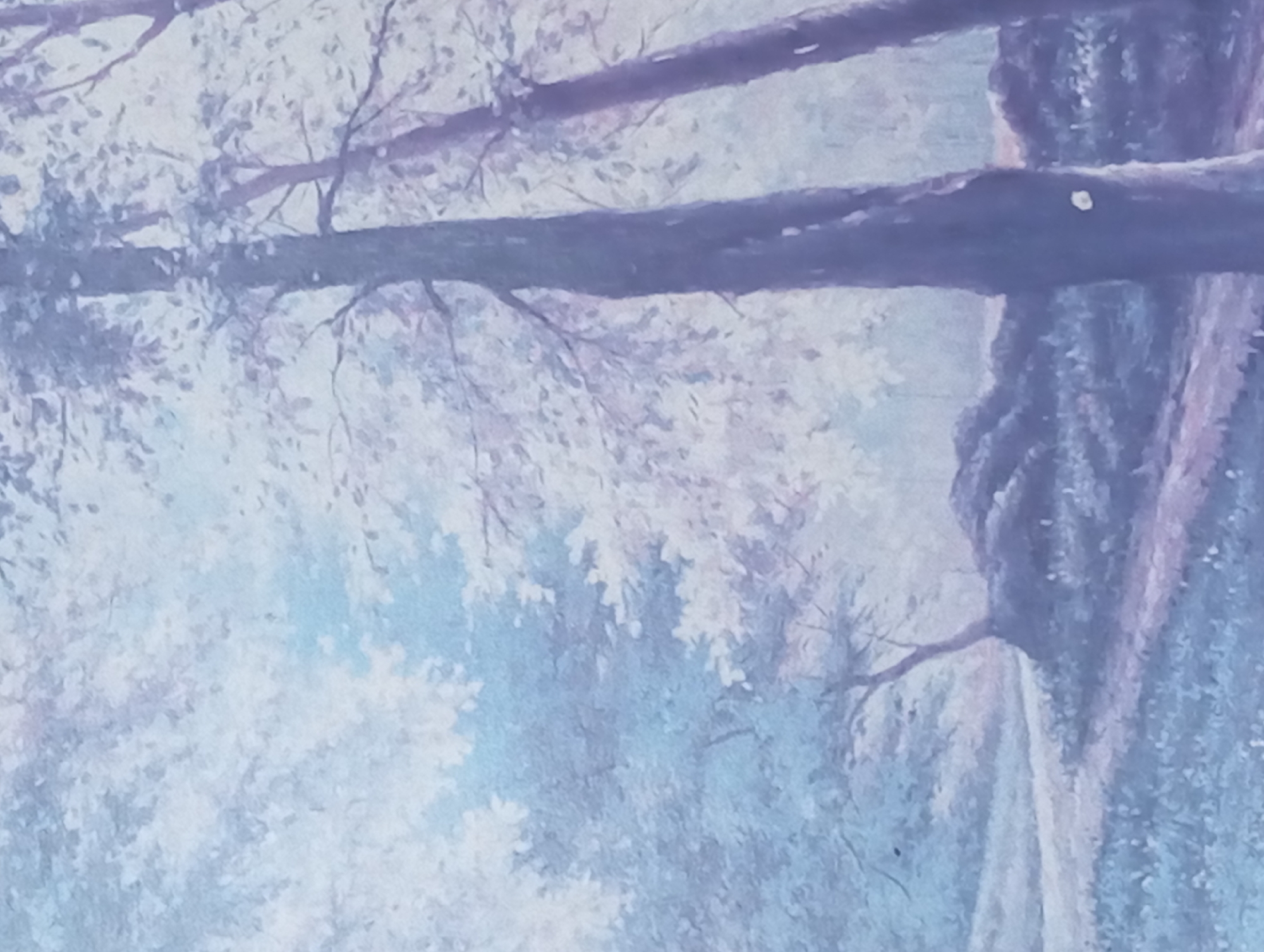 The image shows a close-up of a forest scene with trees and dense foliage. The color palette is dominated by shades of blue, white, and purple, giving it a cool, misty appearance. The composition emphasizes the interconnectedness of the branches and leaves, creating a sense of depth and immersion. There is no indication of any specific location, including Karaganda, Kazakhstan, or any identifiable people, actions, or interactions. The scene focuses solely on the natural environment.