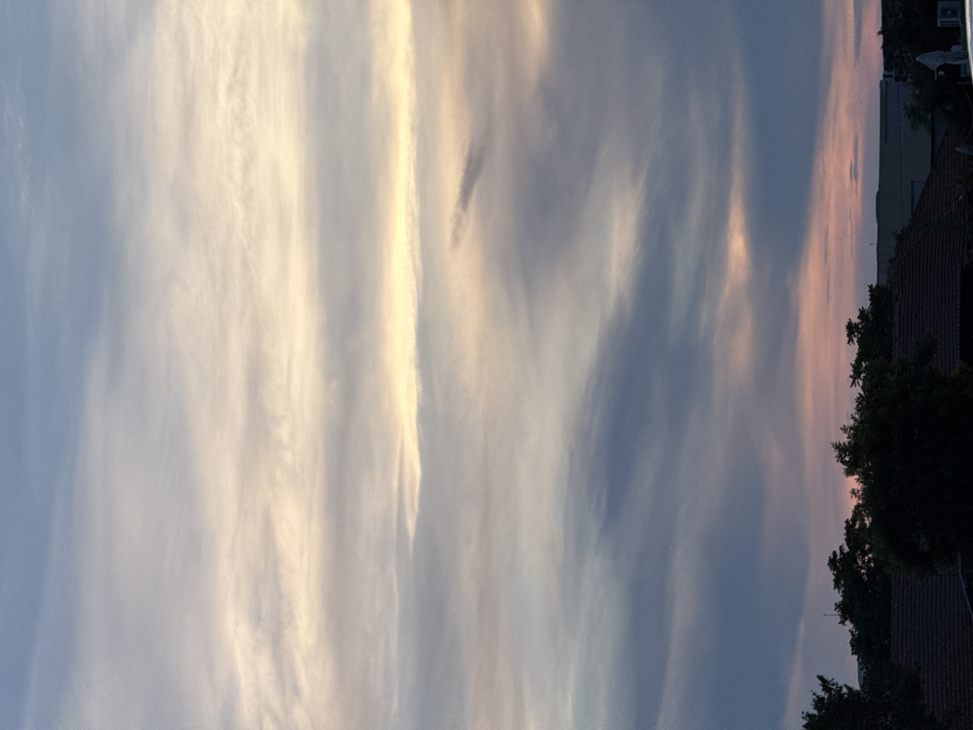 The image captures a sky filled with wispy clouds at what appears to be either sunrise or sunset. The clouds are layered, with lighter, golden-tinged clouds towards the top and middle, transitioning to darker, purplish-blue clouds towards the bottom. The bottom portion of the image reveals a silhouetted tree line against the sky, with hints of pink and orange light appearing through gaps in the clouds near the horizon. Below the trees, dark rooftops of buildings are visible, suggesting an urban or suburban environment. The scene is devoid of people or any specific actions. The lighting suggests natural twilight conditions. While no specific landmarks are identifiable, the overall ambiance points to a sky over a populated area, potentially Burgas, Bulgaria, given the prompt's context.
