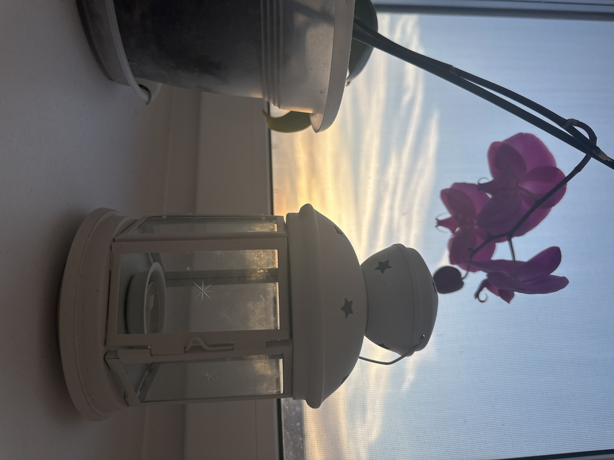 The image depicts a windowsill with a white lantern, a potted plant, and an orchid with purple flowers. The window shows a view of a sunset sky. The location is Przykamye, Russia.