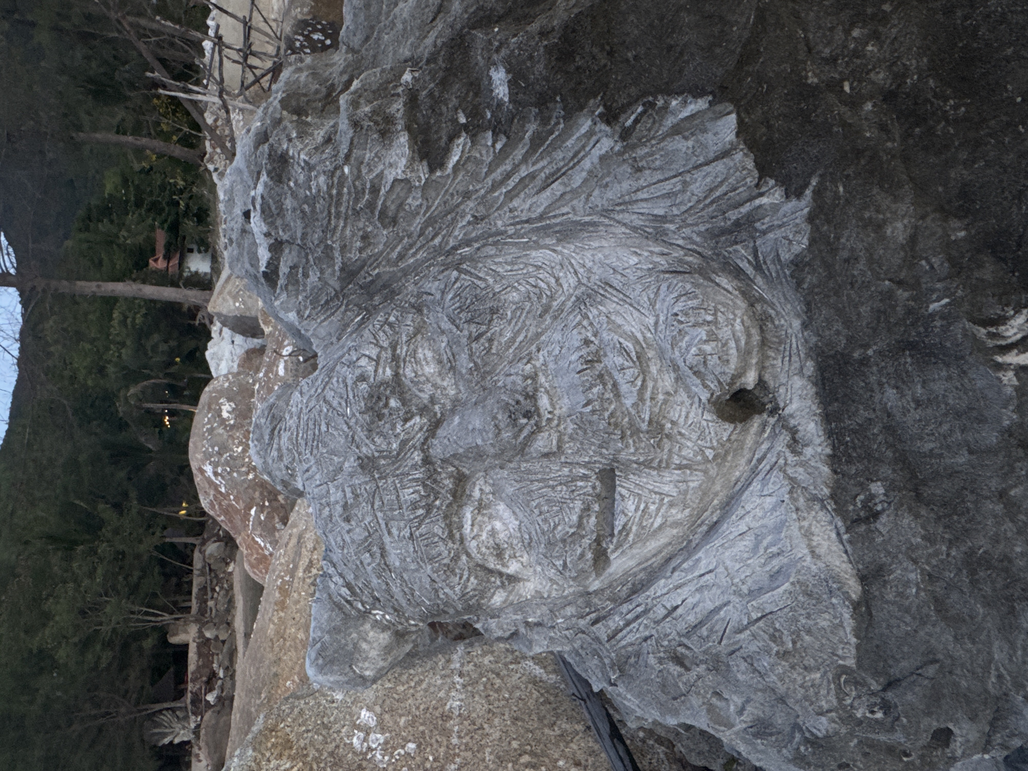 The image displays a stone carving of a face on a large rock. The carving is detailed, with lines etched into the stone to depict facial features like eyes, nose, and mouth, as well as hair or headdress. The rock itself is rough and grey, with visible texture and some lighter, sandy-colored rock underneath.
In the background, a dense forest of pine trees is visible, suggesting a natural, outdoor setting. Some structures, possibly buildings, are partially obscured by the trees, with hints of warm lighting visible, suggesting it might be evening or a dimly lit area. The overall lighting in the image is dim, with cool tones dominating, hinting at either early morning or late evening. The weather appears calm.
The image is oriented vertically, making it a bit disorienting to view directly. The carving is the primary subject, dominating the foreground and mid-ground. The background provides context of the surrounding environment, which appears to be a natural landscape with some man-made elements interspersed. There is no visible text in the image. The carving itself evokes a sense of ancient artistry or perhaps a folk art style.
