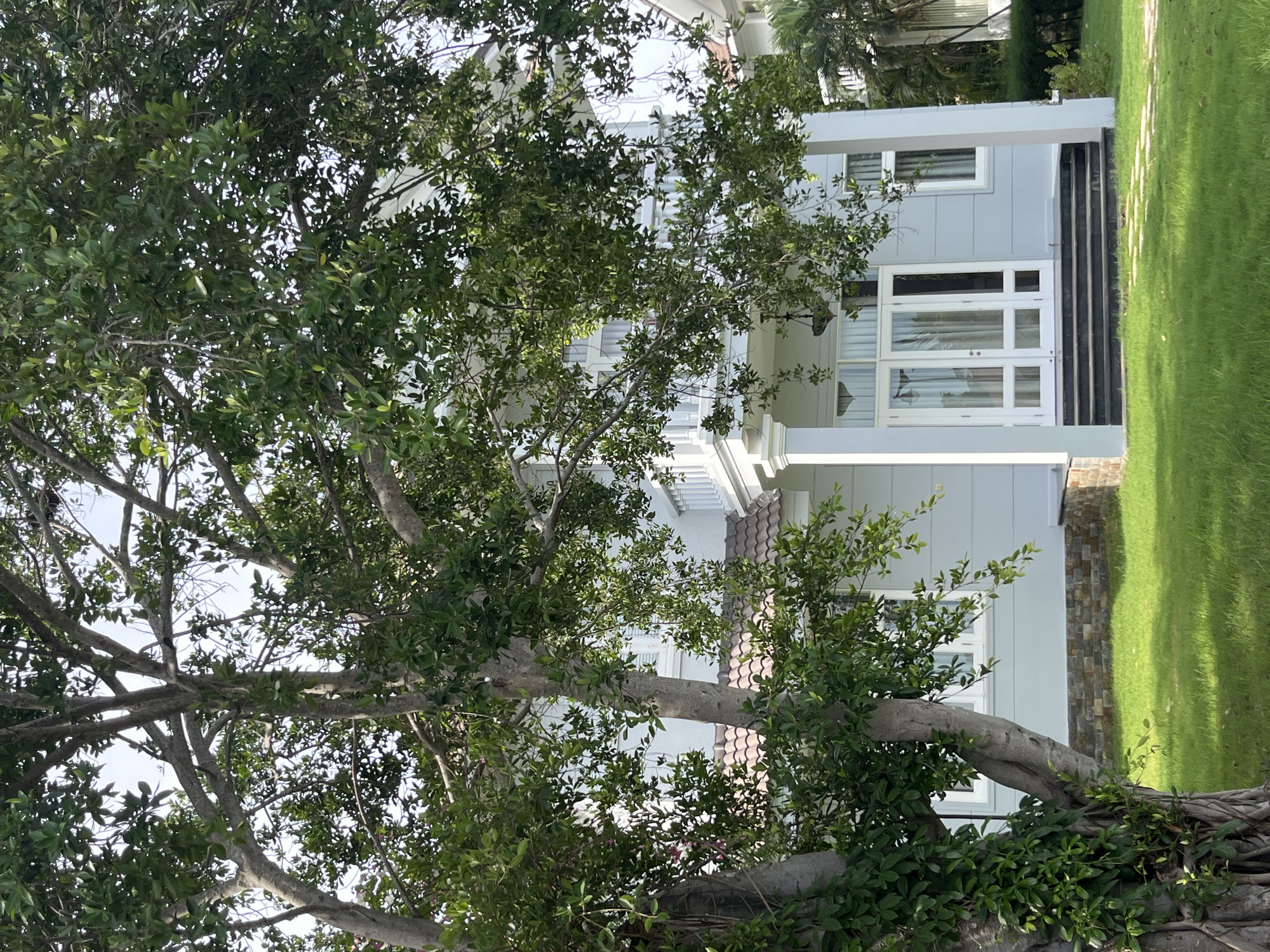 The image displays a modern two-story house in Phu Thuy Ward, Vietnam, partially obscured by the dense foliage of a large tree in the foreground. The house features light blue siding, white trim, and a tiled roof. A prominent white balcony railing and support columns are visible. The entrance to the house consists of a set of double glass doors accessed by a dark-colored staircase. The house is surrounded by a neatly manicured green lawn, with a stone pathway leading to the entrance. The sky is clear and bright, suggesting a daytime scene. No people are visible in the image.