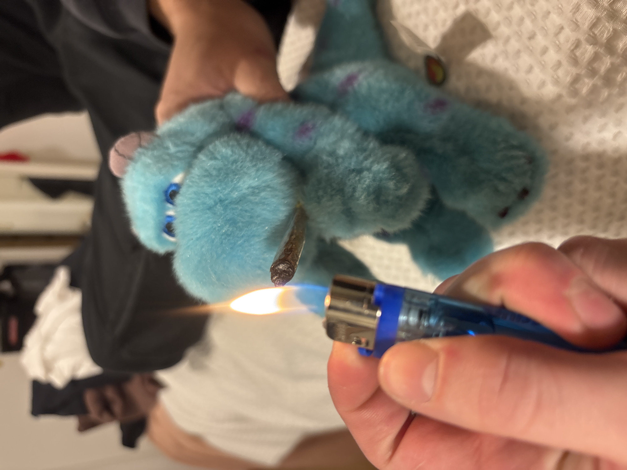 A medium shot shows a blue, stuffed animal toy with purple spots being held up by a person with fair skin. A lit, blue, butane lighter is being held up near the toy's mouth to light a joint. The location is not apparent from the image.