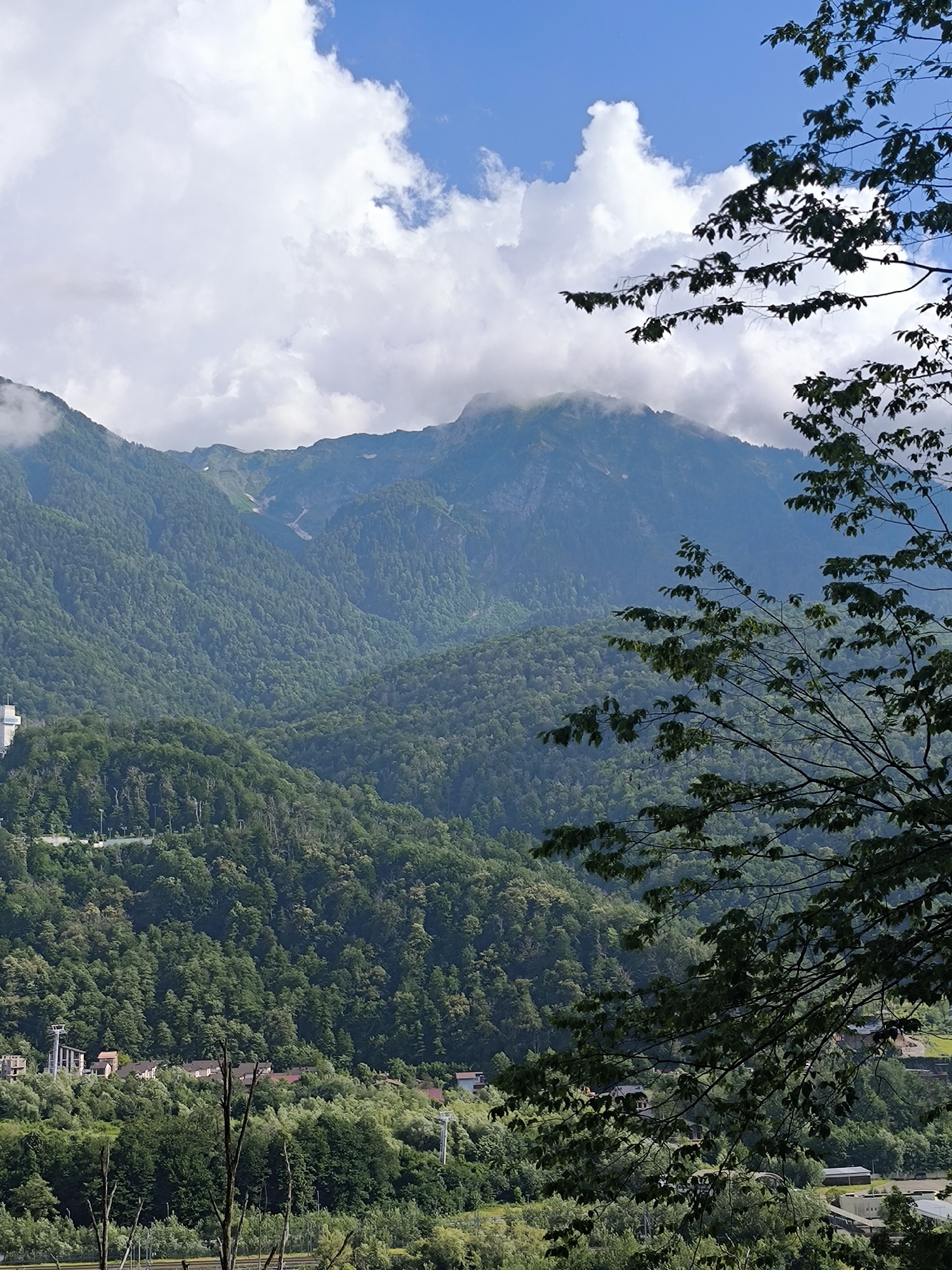The image captures a mountainous landscape with lush green forests covering the slopes. In the distance, a large mountain peak is partially obscured by clouds. In the foreground, branches of a tree with green leaves frame the scene. Below the mountains, nestled among the trees, are several buildings, appearing to be part of a town or resort. Structures resembling ski lifts and some houses with red roofs are visible. A road or pathway winds its way up the hillside. The sky is blue with scattered white clouds. The overall scene suggests a summer day in a mountainous region. This appears to be a view of the area around the city of Krasnaya Polyana, Russia, known for its ski resorts and natural beauty.