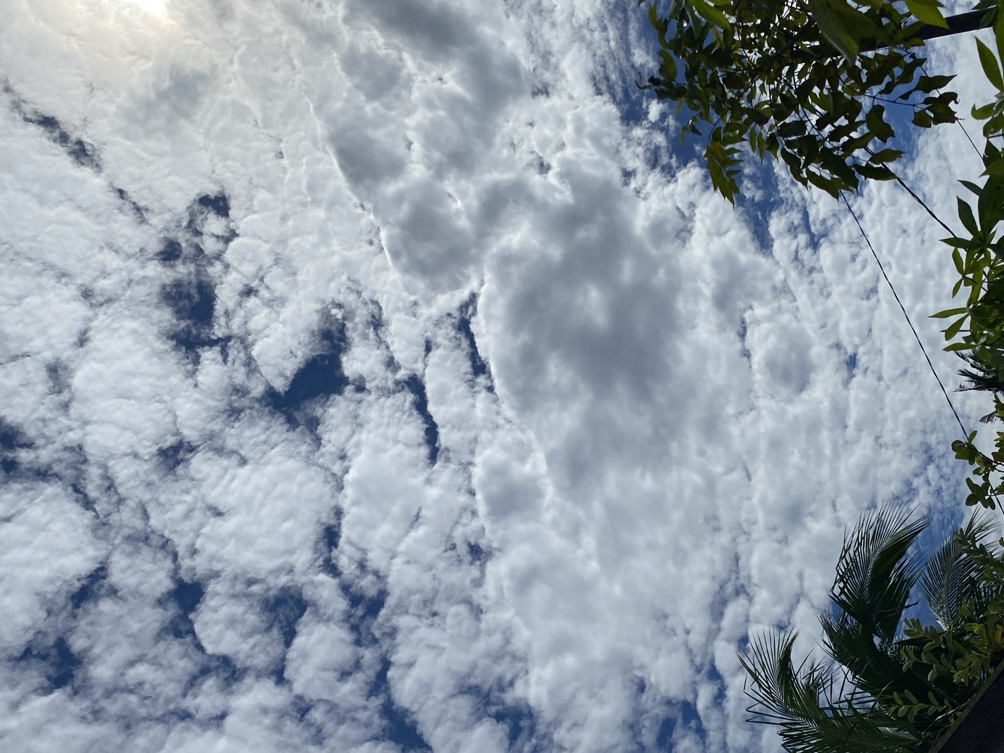 A low-angle shot captures a dynamic sky filled with a mix of cumulus and cirrus clouds over Banda Aceh, Indonesia. The clouds are predominantly white, with some areas showing darker, shadowed undersides, creating a textured and voluminous appearance. Patches of deep blue sky are visible between the clouds. In the foreground, the tops of lush green trees, including palm fronds, frame the bottom portion of the image. A thin black wire stretches diagonally across the scene, disappearing behind the foliage on the right. The lighting suggests it is daytime, with the sun likely positioned high and to the right, causing some of the clouds to appear bright and hazy. The scene is peaceful and natural, evoking a sense of open space and the elements.