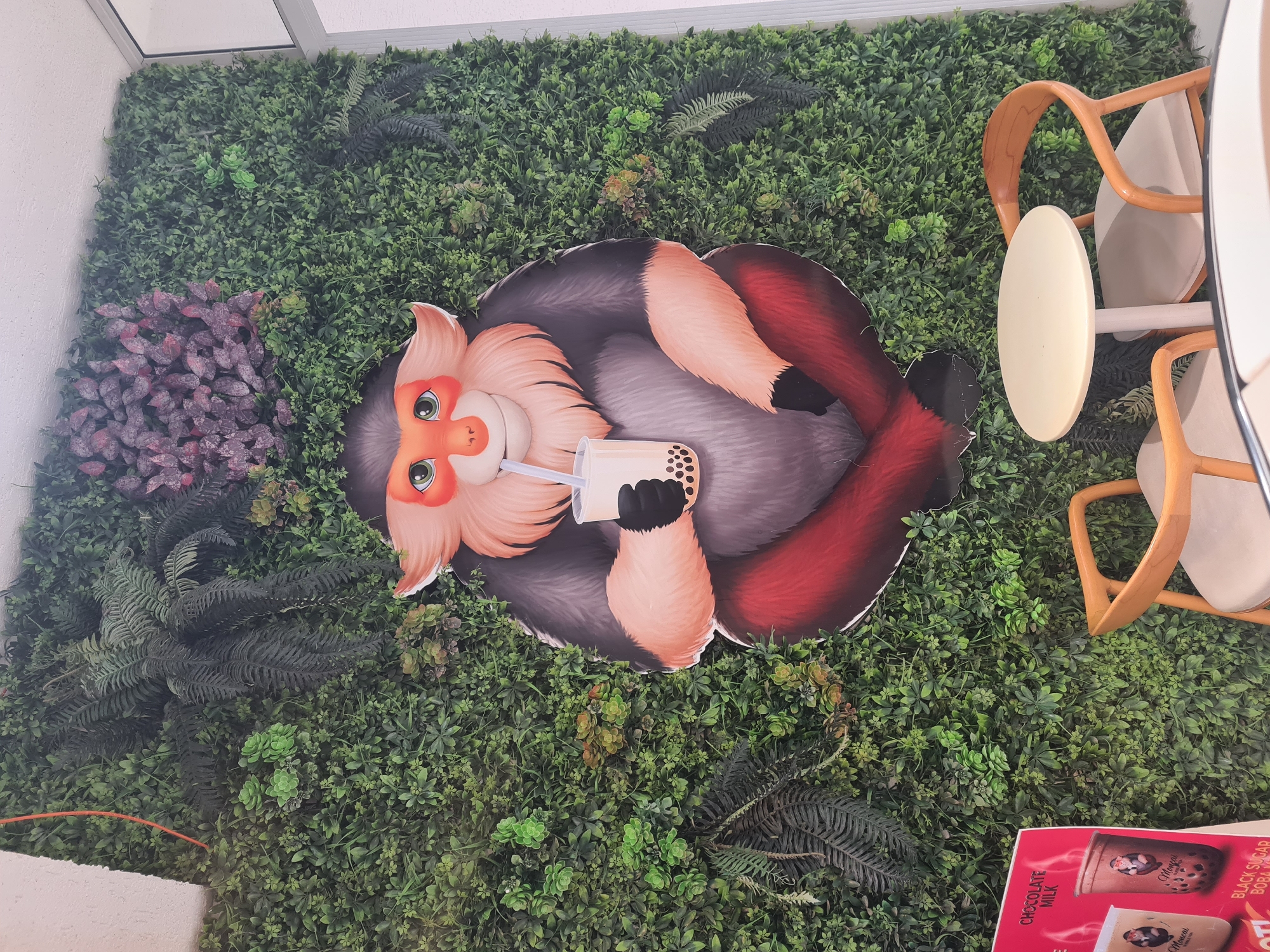 The image is an overhead shot of a wall display, likely in a business, possibly a cafe, in Kadıköy, Turkey. The main feature is a faux greenery wall covered with various artificial plants, creating a garden-like background. Centered on the wall is a large cutout of a monkey-like creature with orange fur and a gray body, positioned as if lying down. It holds a cup of bubble tea. Adjacent to the wall display are two wooden chairs with light-colored seats situated around a small, round table. A menu with a bubble tea advertisement is visible in the corner.