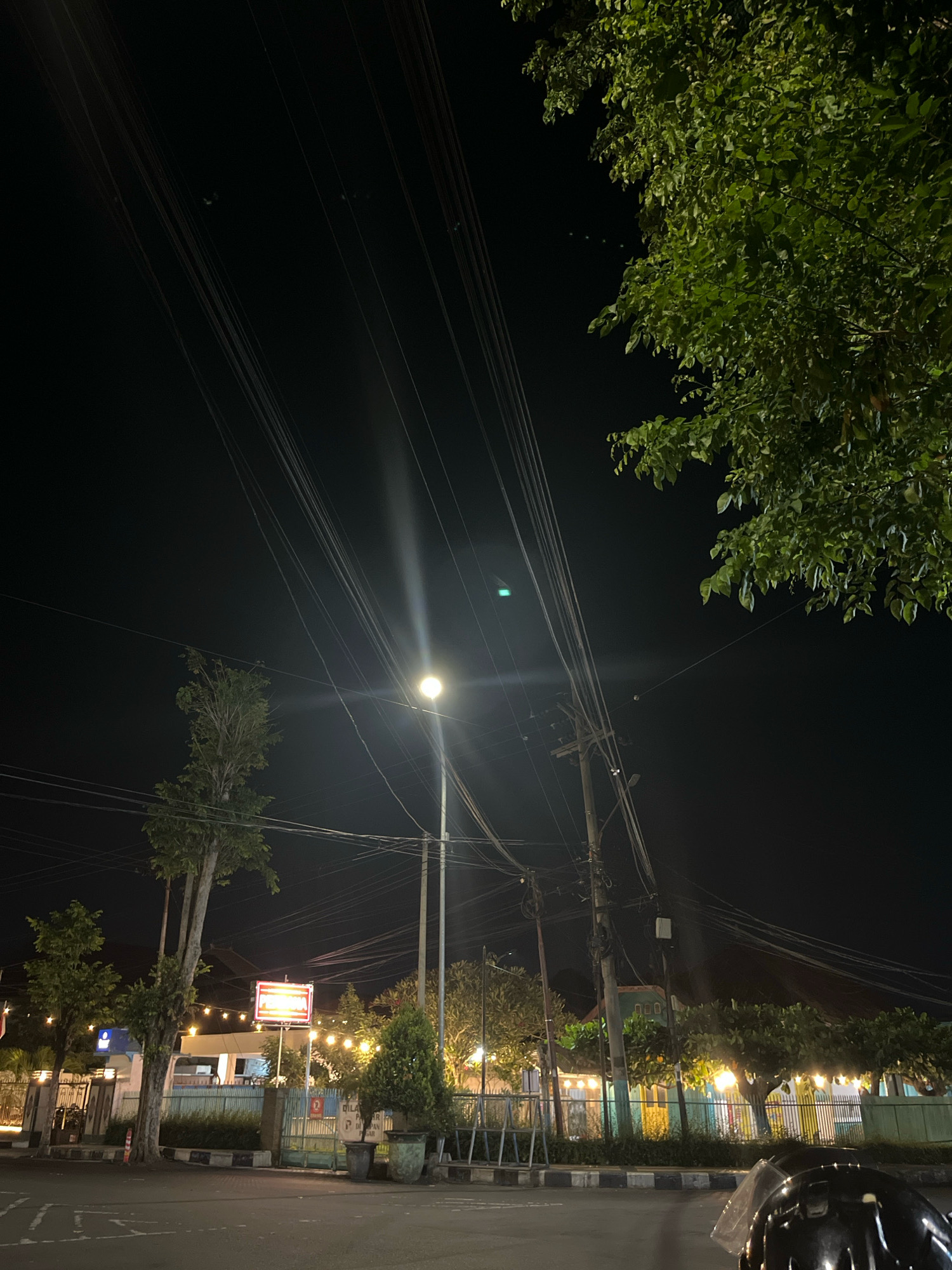 A nighttime outdoor photograph captures a street scene in Lumajang, Indonesia, dominated by a dark sky filled with overhead utility wires. A solitary, illuminated street lamp casts a bright glow, while the branches of a leafy green tree overhang from the upper right corner. In the background, a building with lights strung across its facade is visible, along with more trees and a fence. The foreground shows a paved road with markings, and the reflection of a black vehicle's windshield is present in the bottom right corner.