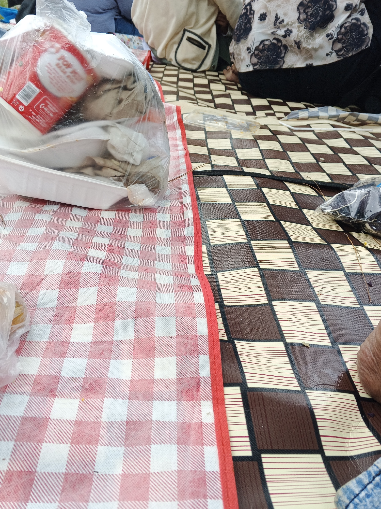 In the city of Perbawati, Indonesia, this image captures a picnic scene. The foreground is dominated by two distinct picnic blankets. The left side features a red and white checkered blanket, while the right side displays a brown and tan checkered mat.
On the left blanket, a clear plastic bag contains white disposable plates and a red box with white text. The contents of the bag are obscured by the plastic and other items.
On the right mat, a person's leg, clad in blue denim, is visible on the lower right side of the image. Next to the leg is a black plastic bag with white contents, possibly food items. Several dry pine needles are scattered across the mat, suggesting an outdoor setting. The background shows parts of two individuals, one wearing a cream-colored top with dark floral patterns and the other in a light cream garment.