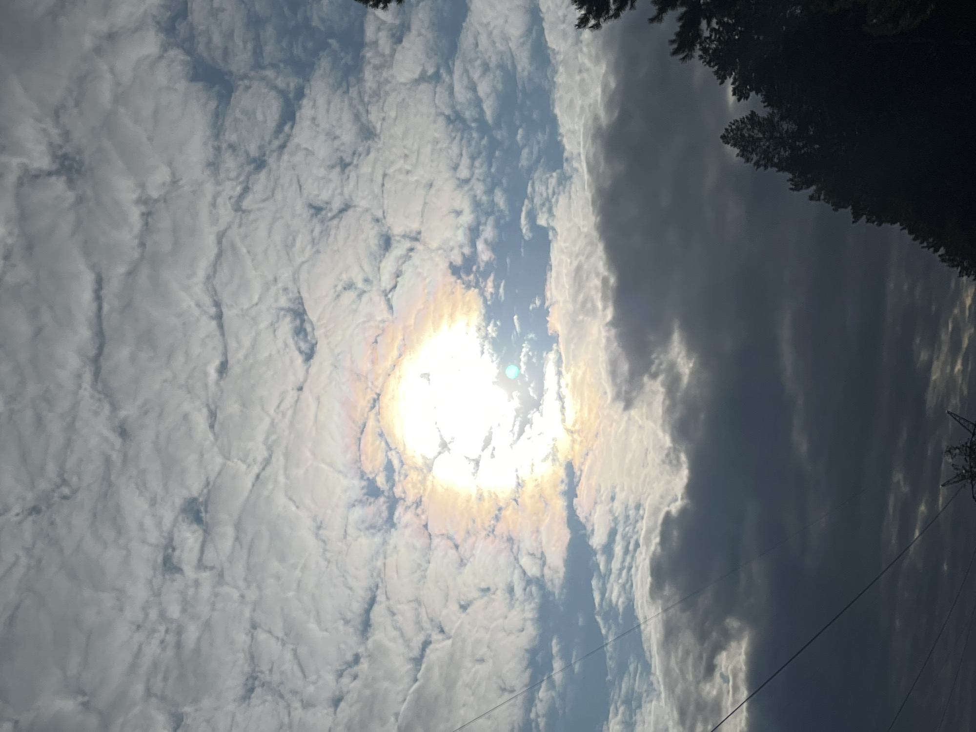The image shows a sky with scattered clouds and a bright sun. A rainbow-like halo surrounds the sun, caused by ice crystals in the clouds. The lower portion of the image depicts silhouetted trees and power lines against a darker sky, suggesting it might be dawn or dusk. There are no people or specific landmarks visible that would indicate a precise location within Nizhny Tagil, Russia.