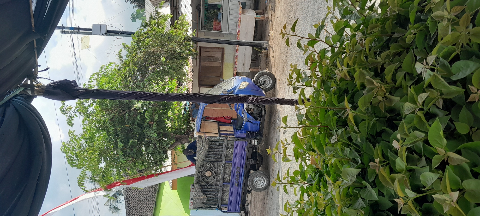The image shows a blue three-wheeled vehicle with a cargo bed, commonly known as a "viar" or "bentor" in Indonesia, parked on a dirt road in Rogojampi, Indonesia. The vehicle is decorated with a patterned fabric over its cargo bed, and the word "KARYA" is visible on the side. A person wearing a dark blue cap and shirt is leaning into the cargo bed, possibly loading or unloading items. Behind the vehicle, there is a green building with a tiled roof and a red and white Indonesian flag displayed. Trees with dense green foliage are visible, and a power pole with wires is in the background. In the foreground, a dense arrangement of green leafy plants obscures the lower part of the scene. The overall impression is of a street scene in a rural or semi-urban area of Indonesia, under a bright, cloudy sky.