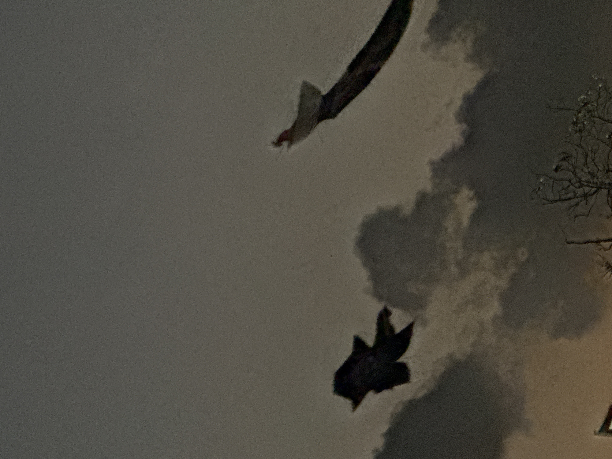 The image shows a dark, grainy sky with some cloud formations. Two objects are visible in the sky. On the left, there is a dark silhouette that appears to be a kite in the shape of a bat. On the right, there is a pole with what looks like a white object on top, possibly a flag or another kite. The scene is dimly lit, suggesting it might be dusk or dawn. The image does not provide any specific landmarks or details that would allow for precise location identification within Denpasar, Indonesia.