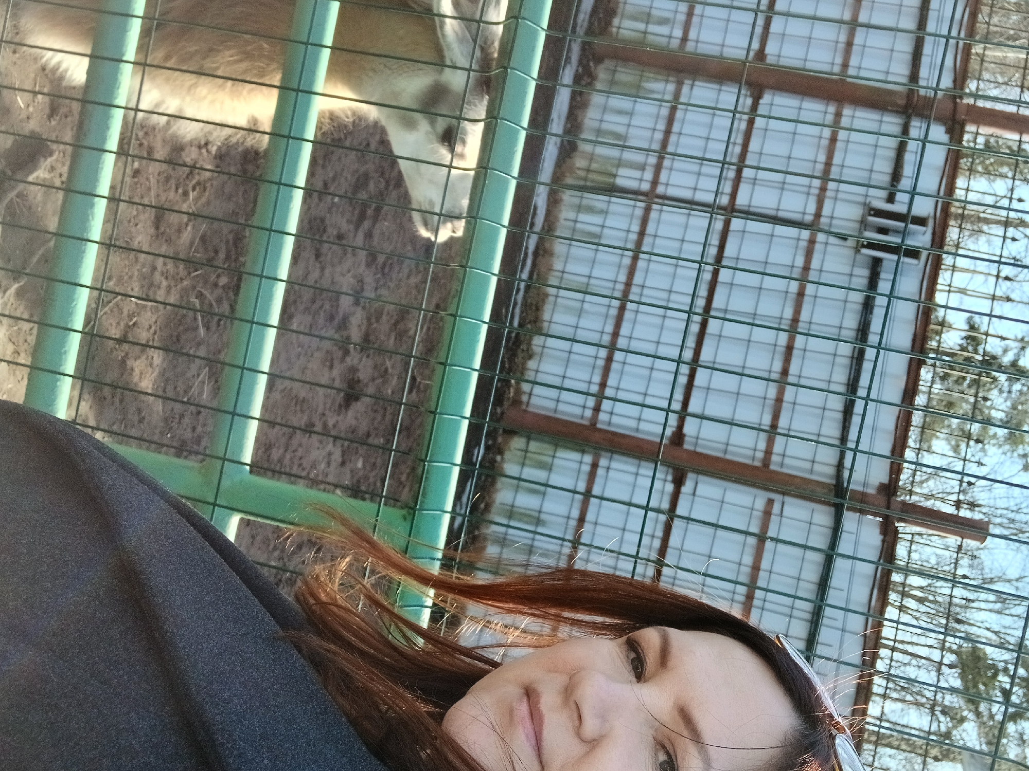 A woman is visible in the lower portion of the frame, close to the camera. She has fair skin and long, brown hair. She is wearing a dark-colored garment, potentially a coat or jacket.
Behind her, the image shows a metal fence with green vertical bars and horizontal wire mesh. Beyond the fence, there is a light-colored animal, possibly a llama or alpaca, situated in a dirt enclosure.
A structure with a wire mesh roof can be seen in the upper portion of the image, behind the animal's enclosure. In the far background, there are trees visible through the wire mesh.
Given the likely presence of a llama/alpaca in a zoo or animal park, the location might be the Izhevsk Zoo in Izhevsk, Russia, as it is the only zoo in the city. The image appears to be taken during the day, under natural lighting.