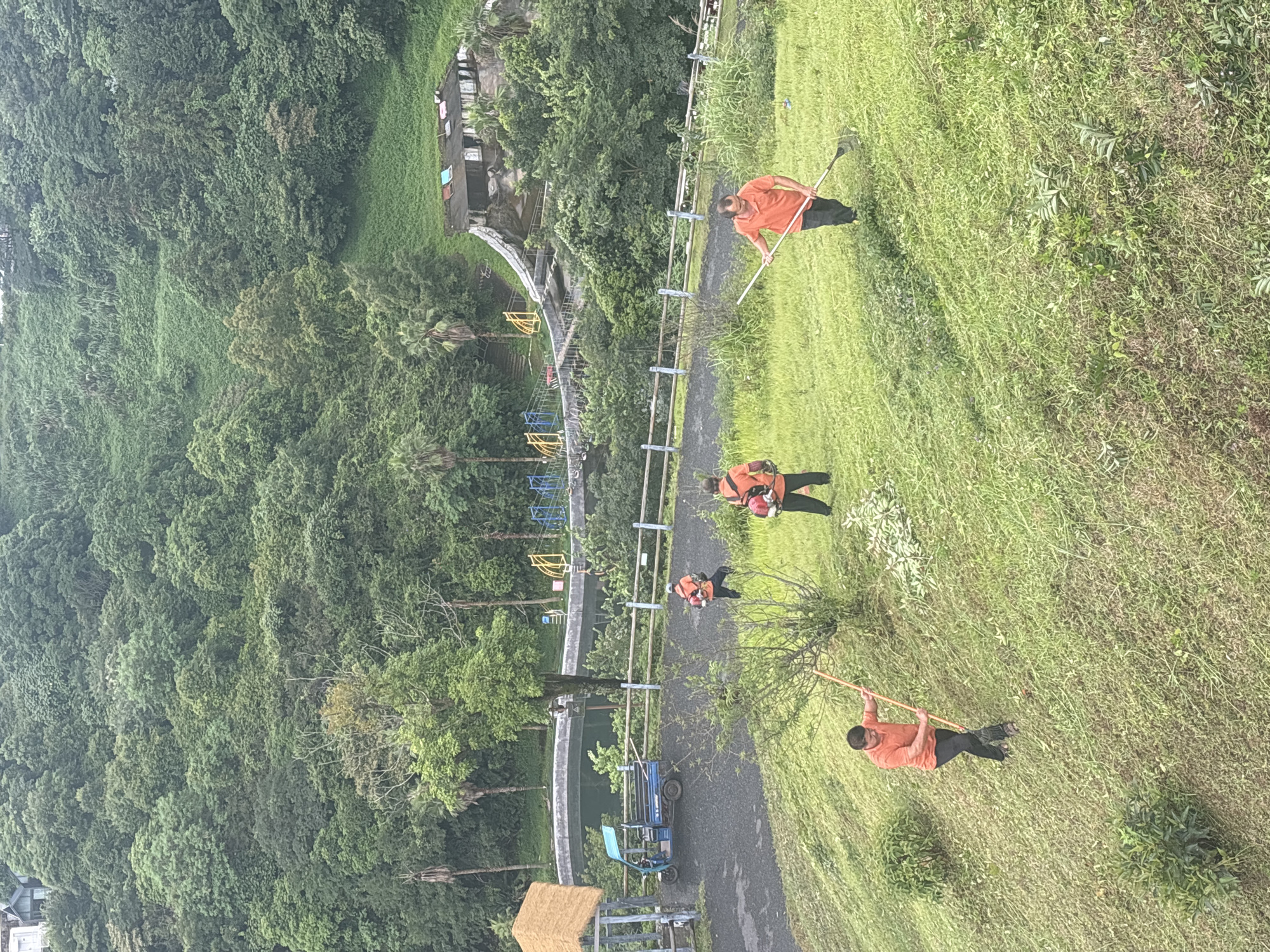 Four men in orange shirts are performing yard work on a grassy hillside. Two men are using string trimmers, one is raking cut grass, and another man is using a rake to gather grass. A blue, three-wheeled vehicle is parked on a paved path behind them. In the background, there is a body of water, a building with a slide, and a dense forest covering the surrounding hills. This scene is in Guangzhou City, China.