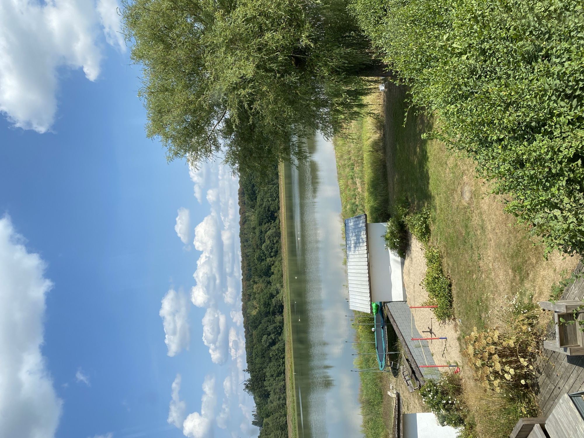 The image depicts a serene lakeside scene in Steinebach an der Wied, Germany, on a bright, sunny day with scattered white clouds against a clear blue sky. In the foreground, a wooden deck with seating elements is visible. To the left, a portion of a white building is present. Adjacent to this, a sandy area contains a low red and blue horizontal bar structure, possibly a play area. Further back, a trampoline with a green mat is set up next to another white building with a metal roof. A grey retaining wall separates the buildings and yard from the natural embankment leading to the lake. The lake itself is calm, reflecting the sky and the lush green trees that form a dense forest lining its far shore. A large, leafy tree with drooping branches dominates the right side of the frame, partially obscuring the view of the lake. Scattered white birds are visible on the water. The ground in the foreground and midground is a mix of dry grass and patches of green vegetation.