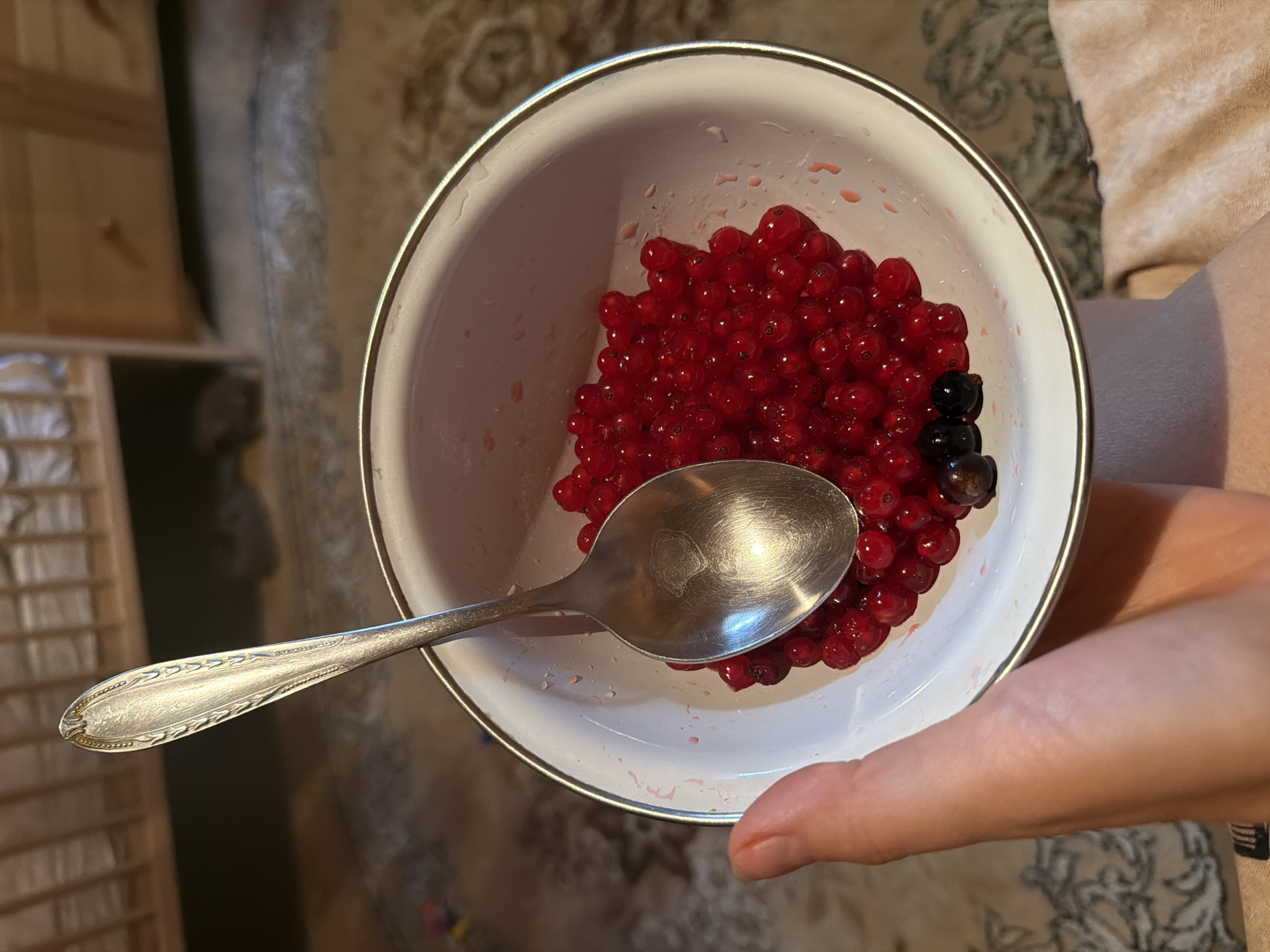 A hand holds a white bowl filled with red currants and a few dark berries, a spoon rests inside the bowl, all on a patterned rug indoors. The background shows a wooden dresser or cabinet, suggesting an indoor domestic setting possibly in Udelnaya, Russia.