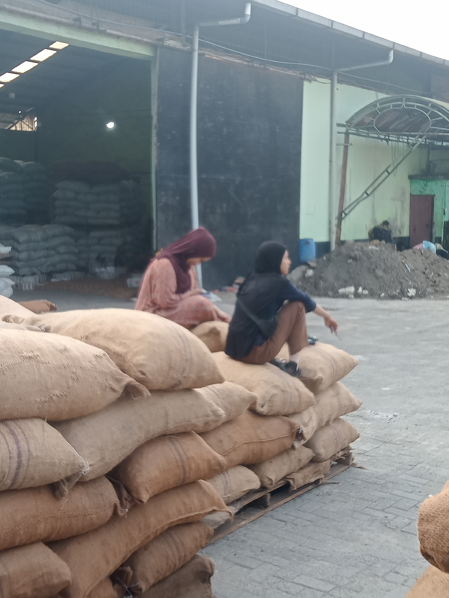 In Sunggal, Indonesia, a scene unfolds in what appears to be a storage or distribution area. A stack of burlap sacks, likely filled with agricultural produce, dominates the foreground, with some sacks appearing to be stacked on a wooden pallet. Two individuals are seated atop these sacks. One, wearing a reddish-brown hijab and a matching patterned dress, is looking down and appears to be engaged with something in their hands. To the right, another person, wearing a black hijab and a dark blue long-sleeved shirt with brown trousers, is looking to the left and holding a cigarette. In the background, a large, open-sided building or warehouse is visible, with more sacks of goods stacked inside. The ground is paved. A pile of dirt or debris is also present in the middle ground, with another individual visible sitting on it.