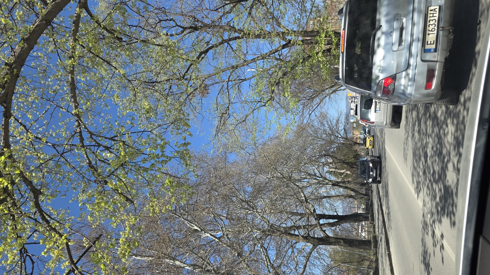 The image shows a street in Blagoevgrad, Bulgaria, with cars lined up along the road. The sky is blue and partially obscured by tree branches with spring foliage on the left and bare branches on the right. A silver SUV with the license plate "E 1633 HA" is closest to the viewer. Other cars are visible further down the street, including a black car and a yellow one. The road has a white line down the middle. Shadows from the trees fall across the street.