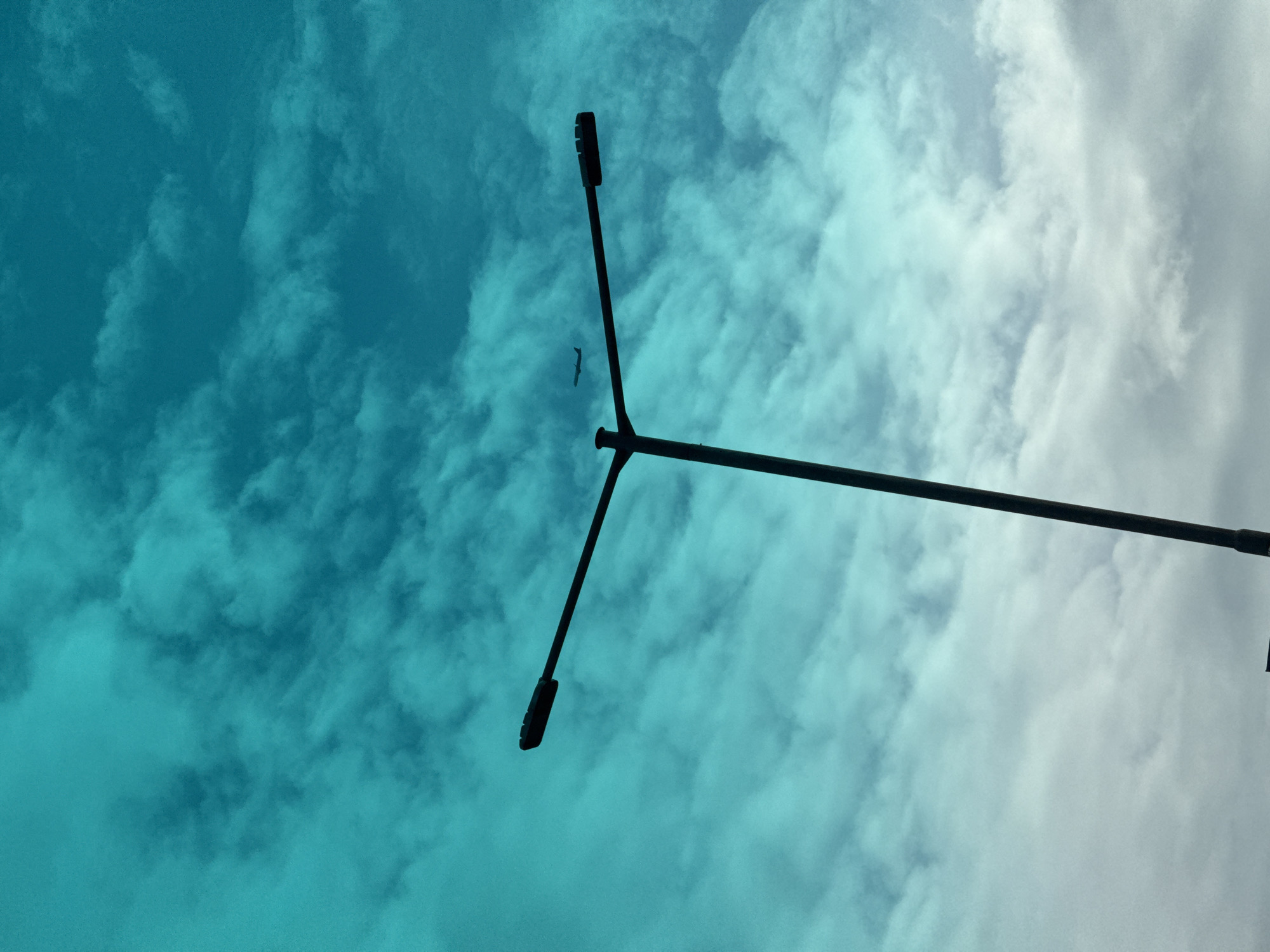 The image shows a low-angle view of a Y-shaped lamppost silhouetted against a cloudy sky, possibly in Sofia, Bulgaria. The sky is colored a gradient from turquoise to white, and wispy clouds fill the space. A small bird flies near the center of the Y in the lamppost.