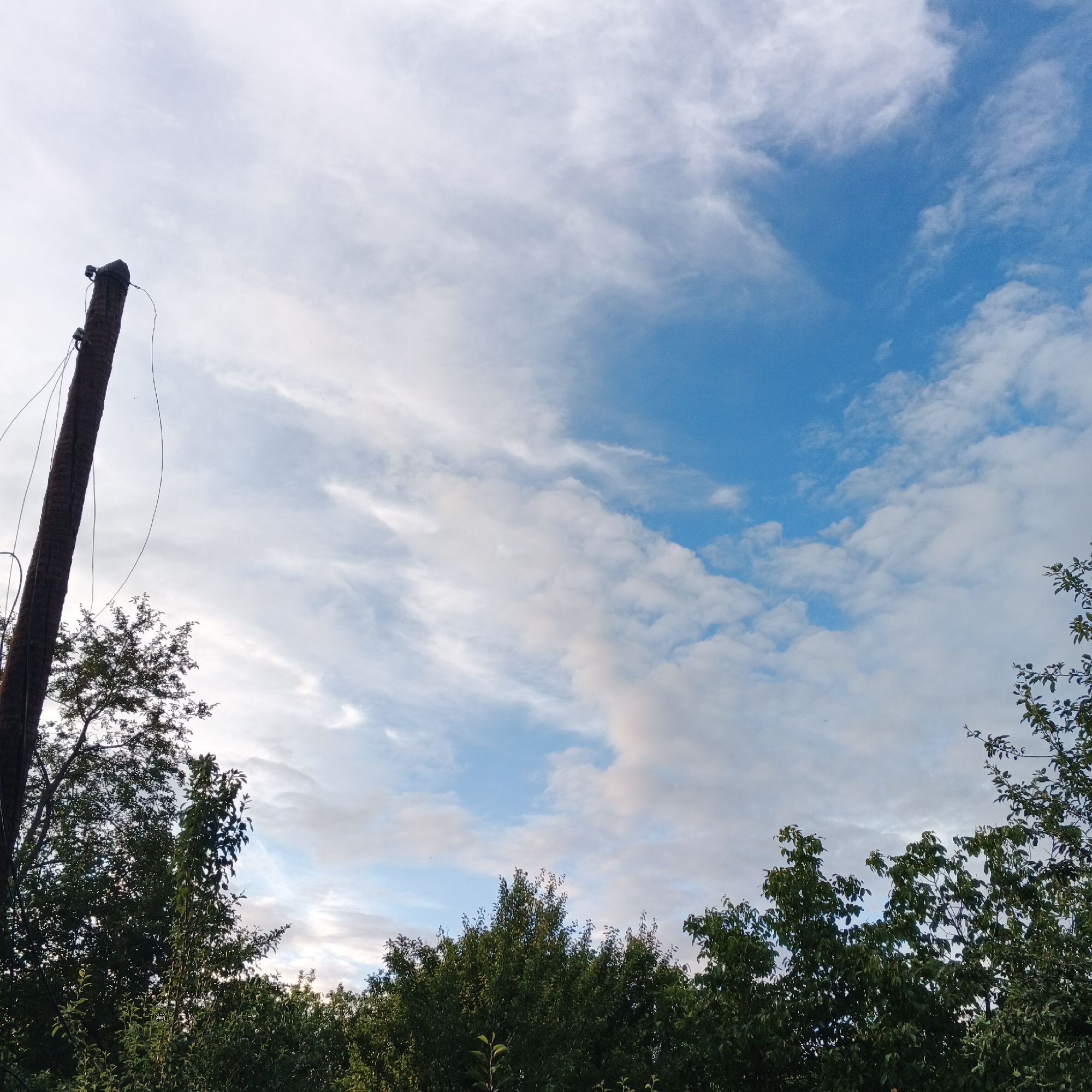 The image depicts an outdoor scene with a cloudy blue sky above a line of green trees. A dark wooden utility pole with wires is positioned on the left side of the frame, leaning slightly. The trees form a dense canopy across the bottom of the image. The location is identified as Smila, Ukraine.