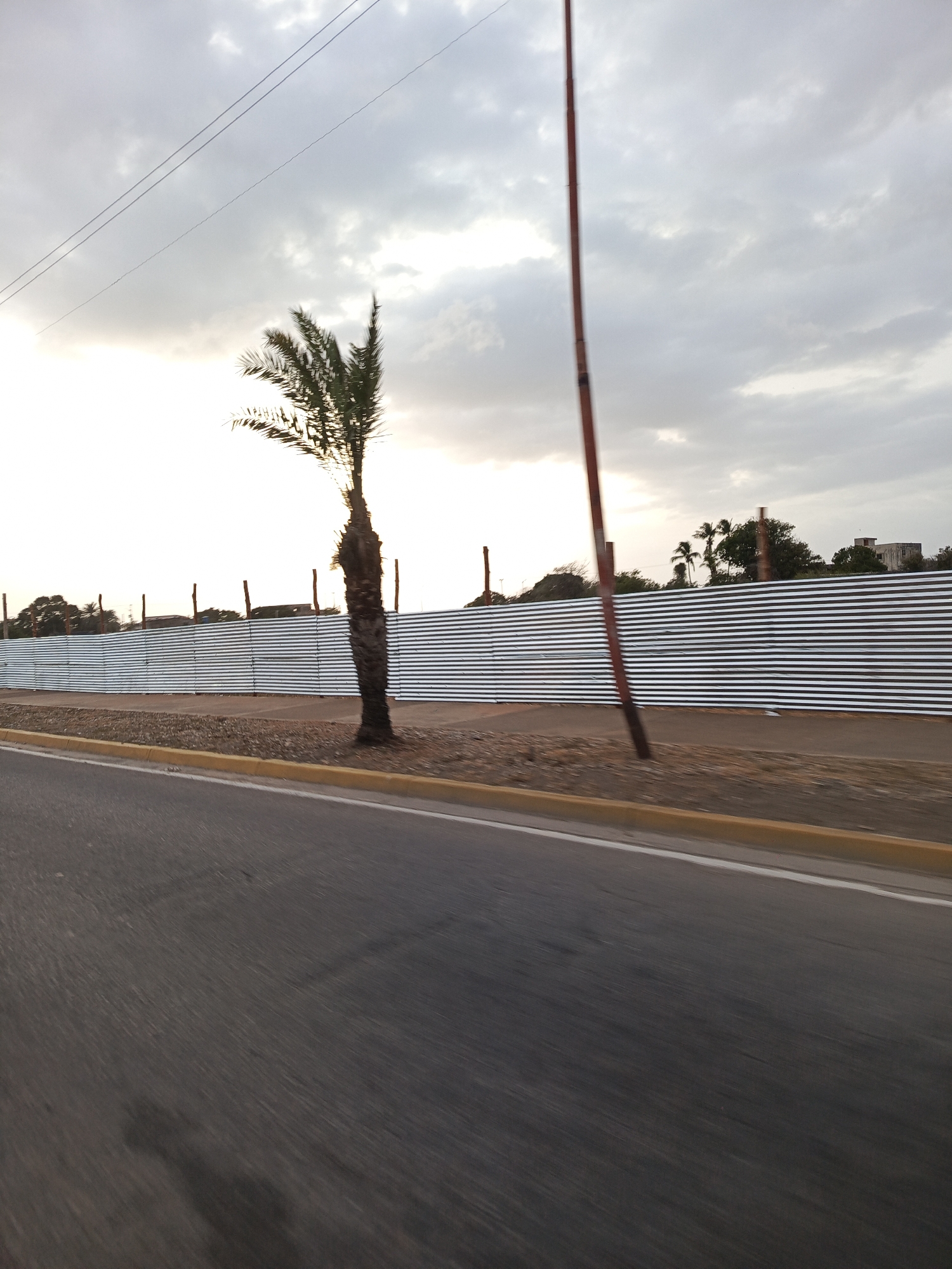 The image depicts a street scene in Juan Griego, Venezuela. A palm tree stands alongside a corrugated metal fence. A tall, reddish-brown pole is positioned near the fence, slightly angled. The asphalt road occupies the lower portion of the frame, exhibiting signs of wear. A yellow-painted curb separates the road from the roadside area where the palm tree and fence are situated. In the background, beyond the fence, are other trees and a building. The sky is overcast, with clouds obscuring the sun. Power lines are visible in the upper left corner. The scene appears to be captured from a moving vehicle.