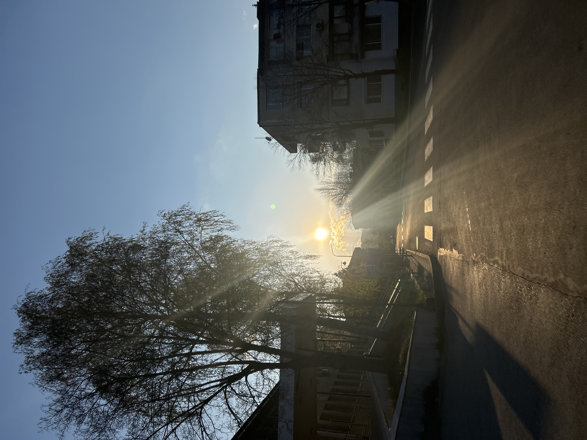 The image captures a sunlit street scene in what appears to be an urban environment, specifically identified as Zlatograd, Bulgaria. The sun is positioned centrally in the frame, emitting rays of light that permeate the scene.
On the left side of the frame, a large deciduous tree stands partially silhouetted against the sky. Its branches are bare, suggesting either late autumn or early spring.
On the right, there is a section of a building, also silhouetted, suggesting it is made from concrete. The road is visible and shows evidence of wear. It is empty. There is a pedestrian crosswalk in the vicinity of the building. The overall impression is one of a quiet, possibly residential, area basking in sunlight. The image provides no indication of people.