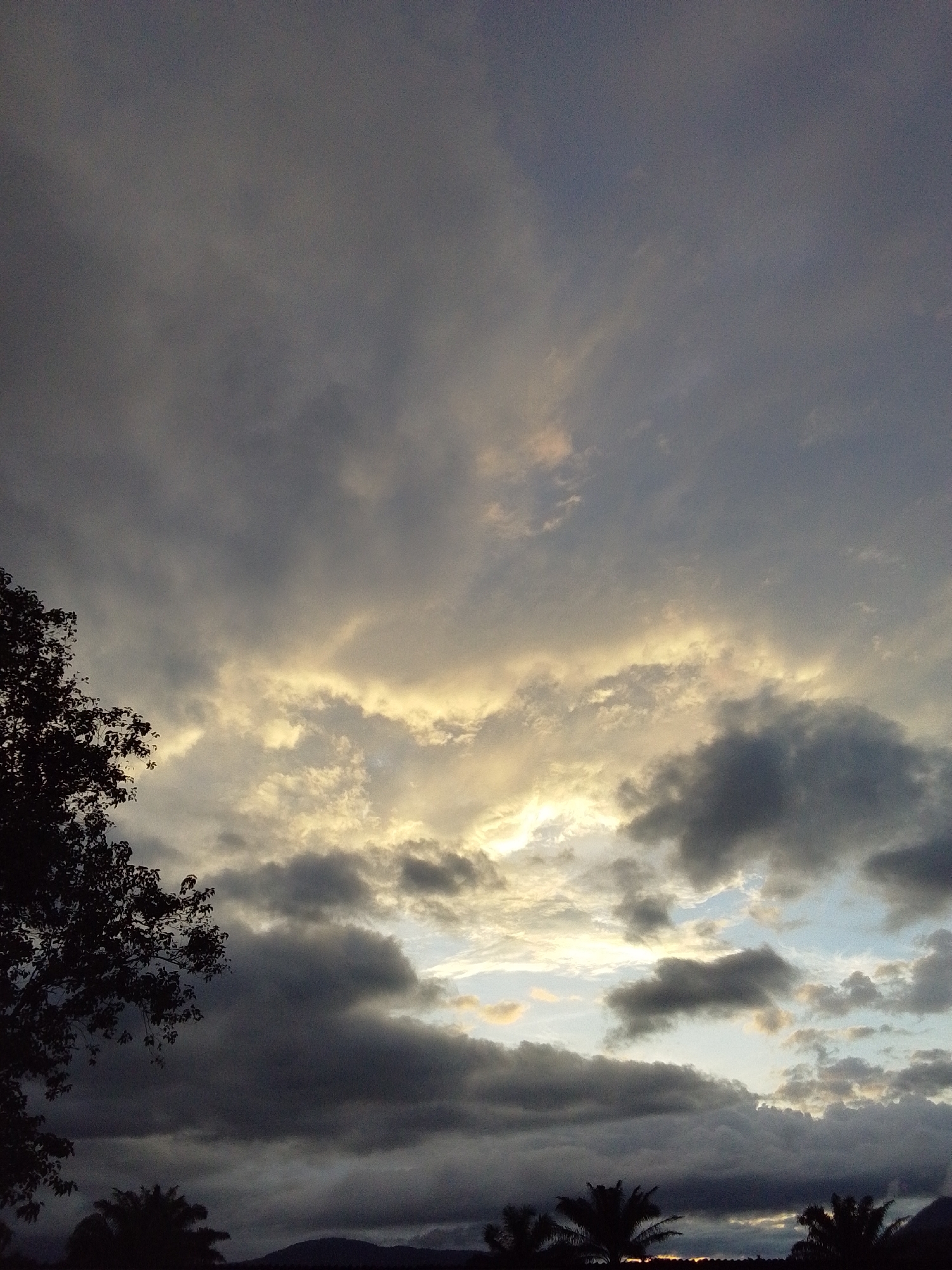 This is a photograph of a cloudy sky over the city of Serti, Nigeria, taken at dusk. The sky is dominated by dark, heavy clouds, with patches of lighter, yellowish clouds indicating the presence of sunlight breaking through the overcast. A silhouette of a large tree with dense foliage is visible on the left side of the frame. In the distance, the silhouettes of palm trees and a mountainous landscape are discernible against the dimming light. The scene evokes a sense of impending weather change.