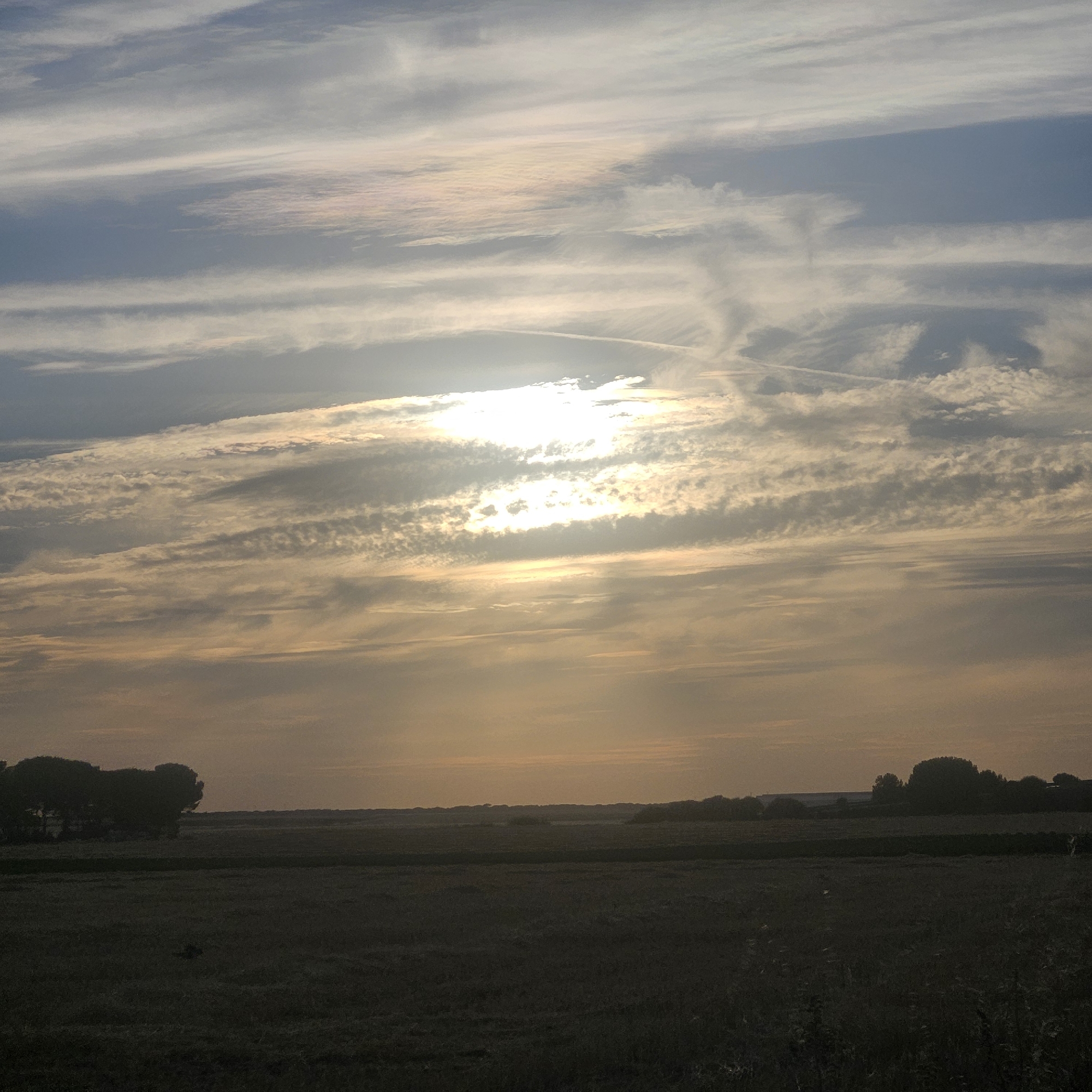 This is a photograph of a rural landscape near Cuéllar, Spain, captured at sunset. The sky is filled with a dramatic display of clouds, ranging from wispy, high-altitude cirrus clouds to lower, more textured formations. The sun is partially obscured by the clouds, casting a warm, golden glow across the sky and illuminating some of the cloud layers with soft pastel hues of pink and yellow.
In the foreground, a dark silhouette of a field is visible, suggesting it is either late in the day or the field is covered in dry vegetation. On the left side of the frame, a cluster of trees forms a dark, irregular shape against the horizon. In the distance, the horizon line is marked by a low, undulating landscape, with more trees and possibly distant hills. The overall impression is one of serene natural beauty, typical of the Spanish countryside during the twilight hours. There are no people or identifiable structures visible in the scene.