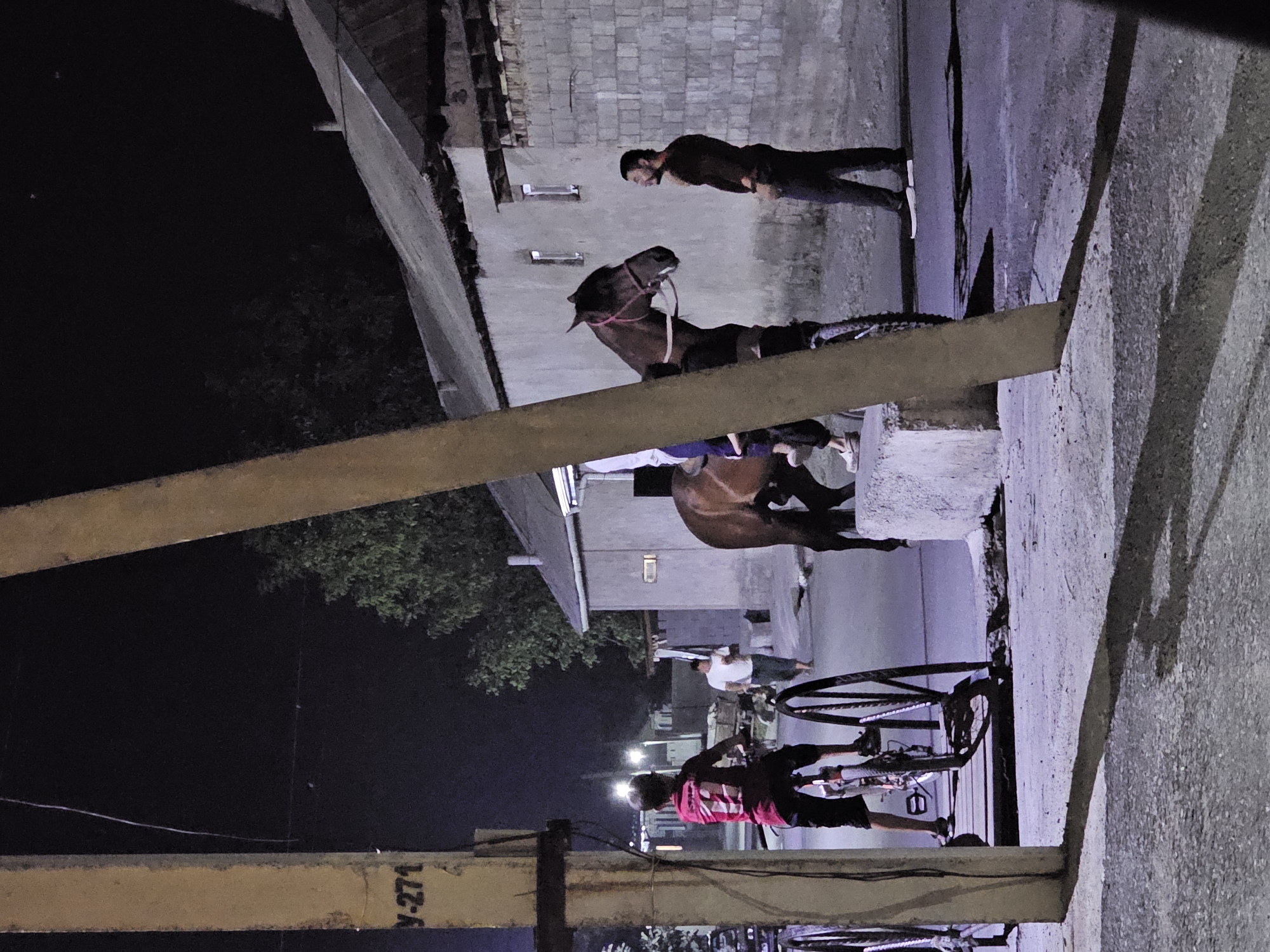 The image depicts a nighttime street scene in the city of Özgön, Kyrgyzstan, with a focus on a horse and several individuals. A young person, wearing a red shirt with a white number "7" and dark shorts, is seated on a bicycle. The bicycle is positioned in front of a concrete structure and is flanked by what appear to be decorative metal structures, possibly part of a bicycle rack. To the right of the bicycle, a brown horse with a pink bridle is tethered. The horse is partially obscured by a tall, light-colored wooden pole in the foreground. A person, dressed in a dark top and dark pants, stands near the horse, looking towards it and gesturing with their left hand. Further in the background, another person in a white shirt and patterned pants walks away from the horse and bicycle. The environment consists of buildings with flat roofs, constructed from light-colored brick or concrete blocks. Streetlights are visible in the distance, illuminating the scene. The ground is paved with asphalt or gravel. The overall impression is a casual, everyday moment captured at night on a city street.