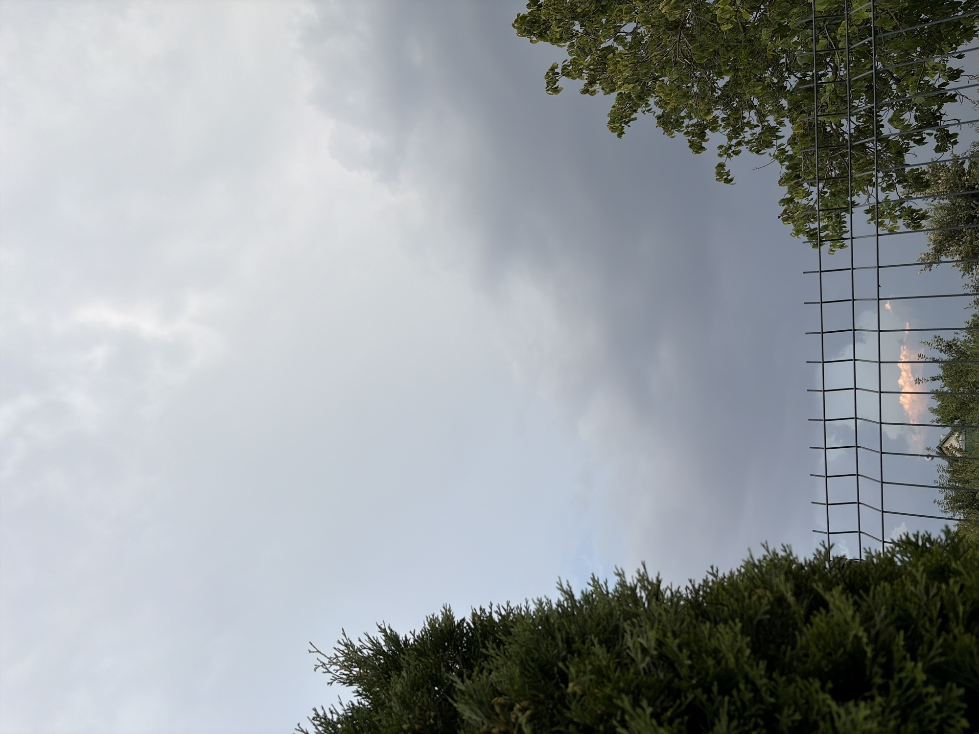 The image, taken in Oxentea, Moldova, depicts an outdoor scene dominated by a cloudy sky. In the foreground, a metal wire fence runs horizontally across the lower portion of the frame. To the left, a large, dense green coniferous tree occupies the left edge of the image. On the right, the branches and leaves of a deciduous tree are visible. The sky above is overcast with various shades of grey and white clouds, suggesting a possibly approaching storm or a dull weather day. The lower part of the image shows some glimpses of greenery and structures behind the fence, hinting at a residential or park-like environment.