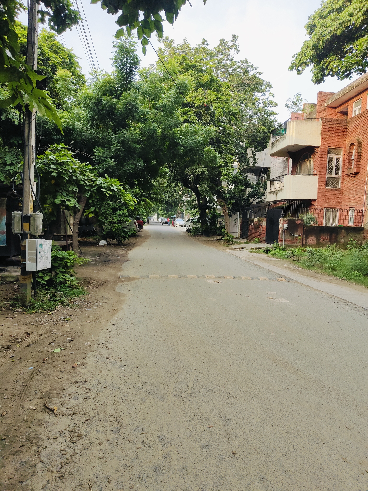 The image depicts a street scene in Gurgaon, India, characterized by a paved road lined with trees and residential buildings. The perspective is from the middle of the road, looking forward.
On the left side of the road, there is a utility pole with several meters attached to it, alongside some overgrown vegetation and a dark, possibly metal structure. Further down the road on the left, there are parked cars and more trees.
The right side of the road features a red brick building with balconies and windows. A black metal gate is visible in front of the building, with a low brick wall and more greenery.
The road itself appears to be a typical urban street, with some debris and tire marks visible on the shoulder. A speed bump is present on the road further ahead. The sky is overcast, suggesting a cloudy day. The presence of trees, utility infrastructure, and residential buildings indicates a developed urban or suburban area. The overall scene is one of a quiet residential street.