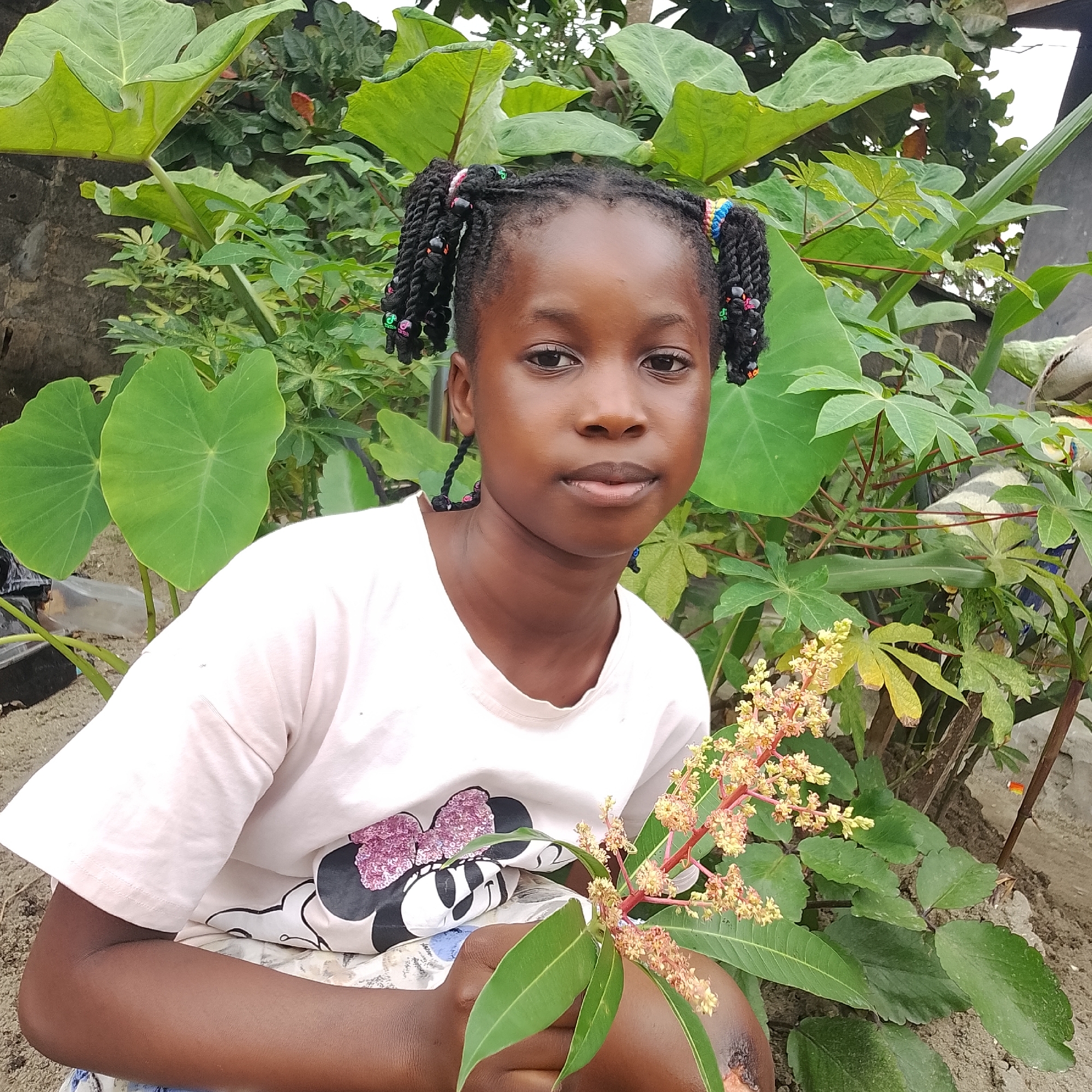 An outdoor, medium shot captures a young Black girl sitting in what appears to be a garden setting with lush greenery and a dirt ground. The girl is facing the camera, her head slightly tilted. She has dark skin, dark eyes, and her hair is styled in two braided pigtails adorned with colorful beads and hair ties. She is wearing a light-colored t-shirt with a graphic of Minnie Mouse on the front. In her hands, she holds a branch with small, yellowish flowers and green leaves. The background is filled with large, green leaves of various plants, suggesting a tropical or subtropical environment. A rough-textured wall is visible behind her to the left, and to the right, parts of a fence or structure are present. The overall scene is bright and natural, illuminated by daylight. The location is Ado, Nigeria.