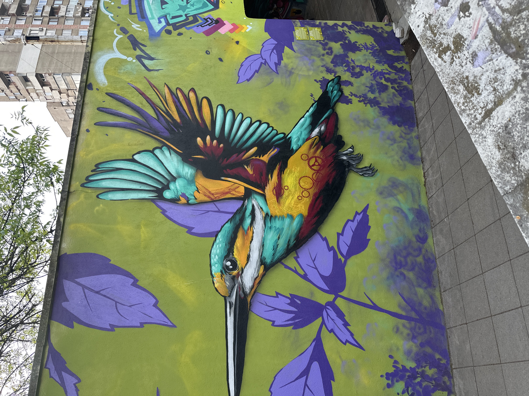 The image captures a vibrant mural in Sofia, Bulgaria, depicting a bird with brightly colored wings on a lime-green wall. The bird's plumage displays a mix of teal, gold, yellow, red, and black. The artwork includes stylized purple leaves and branch patterns around the bird. The background features other graffiti elements. To the left, a tree can be seen, and above, a view of a tall, multi-story building. The right side of the mural adjoins a concrete structure.