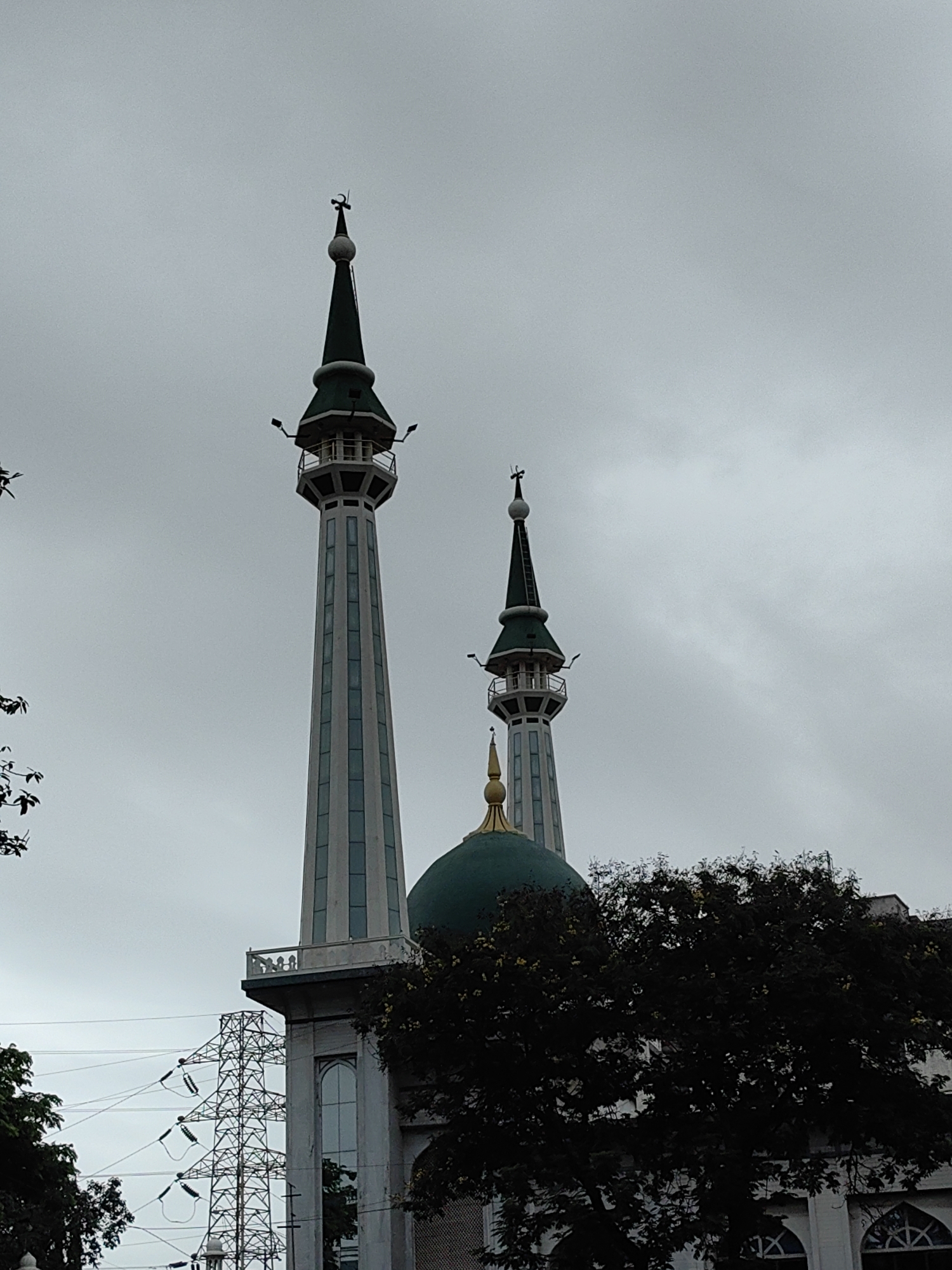 This is a low-angle, medium shot photograph of two minarets and the dome of a mosque against a grey, overcast sky. The minarets are tall and slender, with green conical tops. The left minaret is taller and features a crescent moon and star finial. Both minarets have observation decks and are illuminated by floodlights. The dome is green with a golden spire. In the foreground, dark foliage from trees partially obscures the lower sections of the mosque. To the left of the minarets, a lattice-like electrical pylon with high-voltage power lines is visible. The architecture suggests a modern Islamic place of worship, possibly located in an urban area. The specific location is identified as Mumbai, India, although no distinctive landmarks are visible in this specific image to confirm the exact spot within the city. The scene appears to be devoid of people.