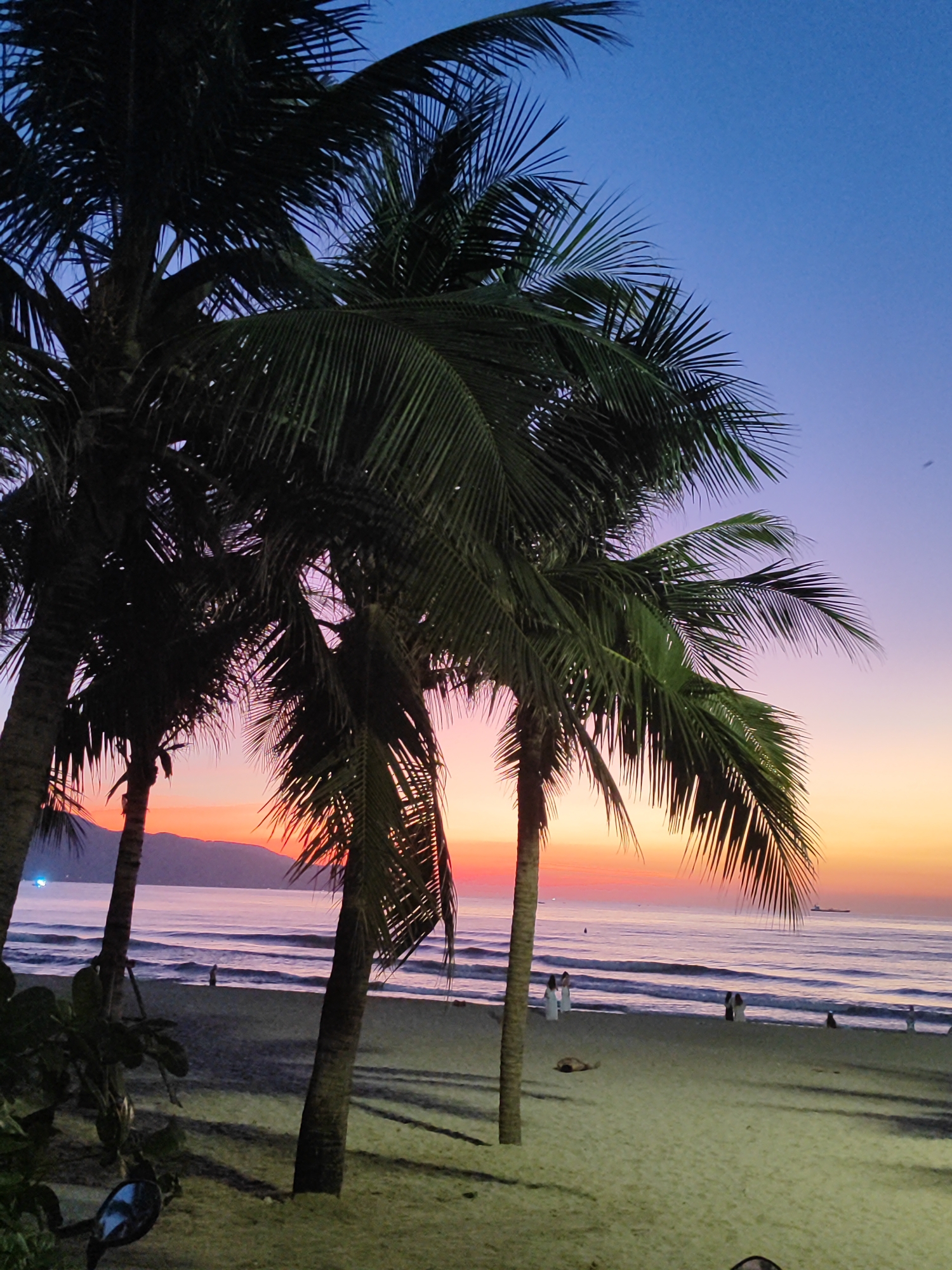 This is a photograph taken at dawn on a beach in Da Nang, Vietnam, likely My Khe Beach, famous for its sunrise views. The sky transitions from a deep blue at the top to lighter shades of purple, pink, and orange near the horizon, indicating the early stages of sunrise. Silhouetted palm trees dominate the foreground, their fronds casting long shadows on the sandy beach. The ocean is calm, with gentle waves rolling onto the shore. Several people are visible on the beach, some walking along the shoreline, and others standing closer to the water. In the distance, a cargo ship is visible on the horizon. The overall mood of the image is serene and tranquil, capturing the beauty of a tropical beach at the start of a new day.