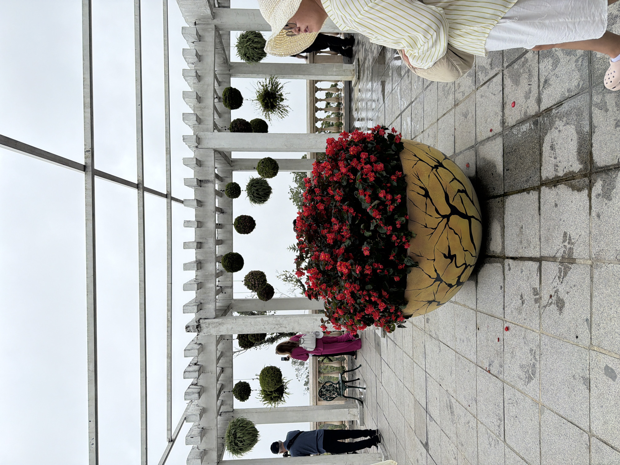 The image depicts a covered outdoor patio area, possibly a scenic overlook, in the city of Da Nang, Vietnam. A pergola-like structure with white beams and decorative elements provides shade. Several hanging plants in spherical planters are suspended from the beams. In the foreground, a large, yellow planter with a crackled black design holds an abundant arrangement of red flowers. A person wearing a wide-brimmed hat and a light-colored striped shirt is visible on the right, facing away from the camera and holding a bag. To the left, another person, wearing a dark blue shirt and black pants, stands with a camera. A woman in a vibrant pink outfit and a white backpack is also present, facing away from the camera and holding a mobile phone. The ground is paved with square tiles, some of which appear wet, suggesting recent rain. In the background, a railing and a distant landscape are visible. The sky is overcast.