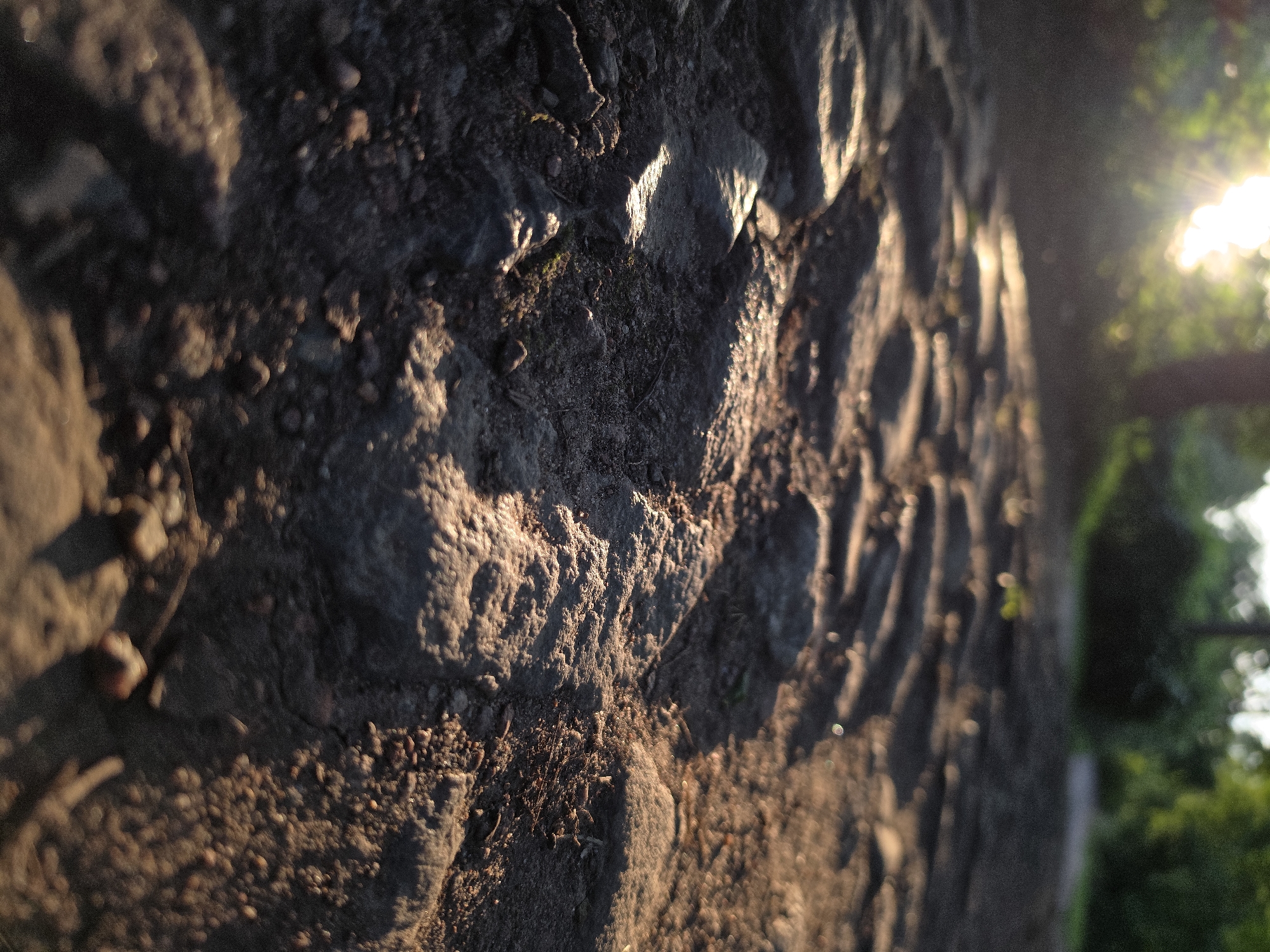 The image depicts a low-angle shot of a cobblestone path illuminated by the golden light of the setting sun. The stones are rough and uneven, with small pebbles and bits of dirt scattered between them. The sunlight casts long shadows across the path, highlighting the textures and contours of the stones. In the background, the scene is blurred, showing a hint of greenery from trees and foliage, and a path receding into the distance. The sun itself is visible in the upper left corner, its rays breaking through the trees and creating a lens flare effect. The overall impression is one of natural beauty and tranquility, possibly a park or a historic street. Given the reference to Strelna, Russia, this path could be located within the grounds of a historical estate, such as the Konstantinovsky Palace, known for its scenic parks and gardens. There are no people or animals visible in the image, and no specific actions or interactions are taking place.