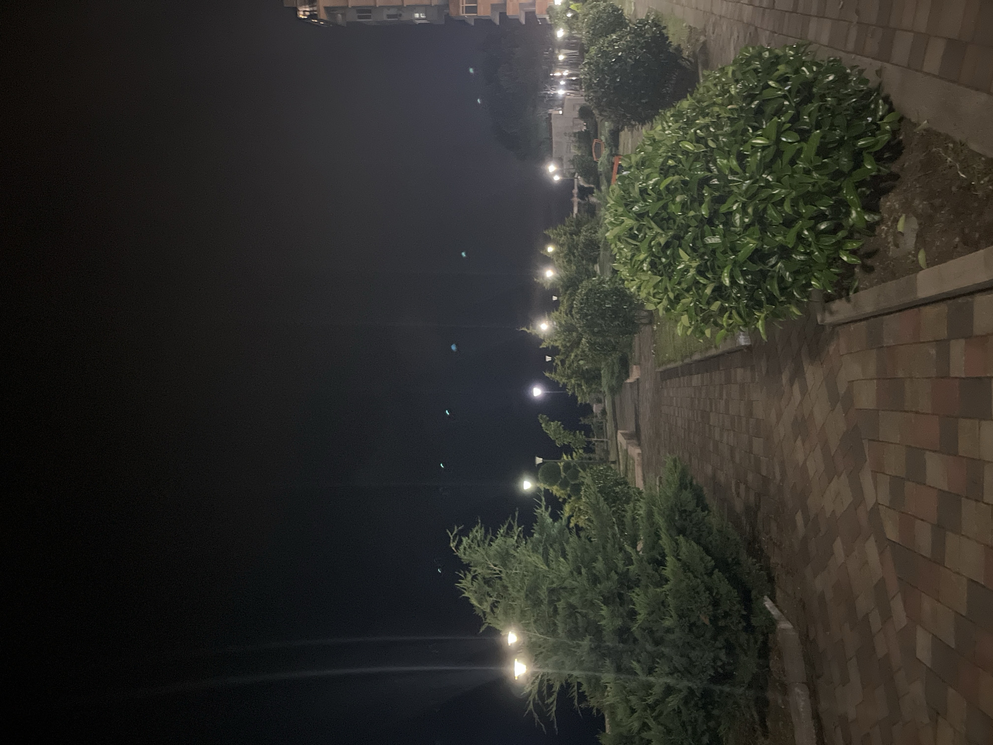 A nighttime, eye-level, medium shot captures a paved pathway lined with manicured shrubs and trees in Kobuleti, Georgia. The pathway, constructed from reddish-brown bricks laid in a herringbone pattern, curves gently through the scene, illuminated by lampposts. On the left, a large coniferous tree stands prominently, its branches illuminated by a lamppost directly behind it. To the right of the path, several rounded, leafy bushes are visible, their glossy green leaves reflecting the light. In the background, more trees and bushes are spaced along the pathway, with lampposts interspersed among them. A building, partially visible on the far right, appears to be multi-story and is lit from within. The sky is a dark, almost black hue, with faint lights visible in the distance. The overall impression is of a well-maintained public space at night, designed for evening strolls.
