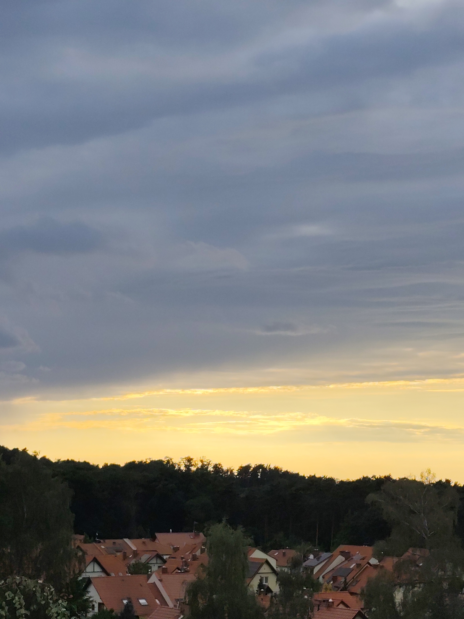 This is a medium-shot, vertical, full-frame photograph capturing a twilight sky over a residential area and a dense treeline. The sky occupies the upper two-thirds of the frame and is filled with layered, heavy grey clouds that transition into a strip of bright yellow and orange hues near the horizon, suggesting the last moments of sunset. Below the sky, a dark, undulating treeline forms a distinct border. The lower third of the image displays a cluster of houses with terracotta-tiled roofs. The architectural style appears to be European, with some houses featuring visible chimneys and dormer windows. The overall scene is tranquil and depicts a suburban or semi-rural landscape on the outskirts of Zielona Góra, Poland, at dusk. No people or specific actions are visible.