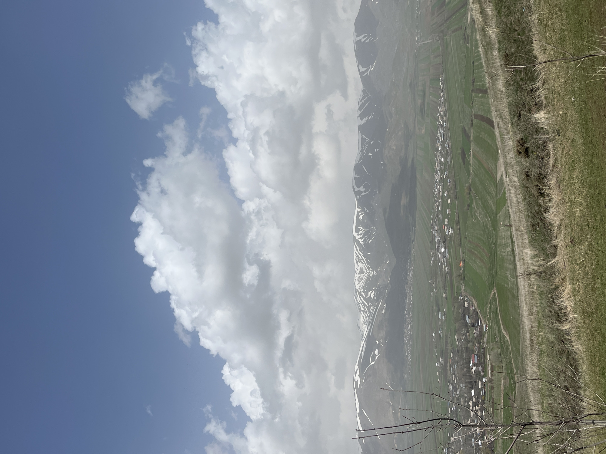 The image captures a landscape in Hartagyugh, Armenia. A mountain range with some visible snow patches rises in the midground. A rural scene unfolds from the base of the mountains down towards a small village with clustered buildings and red rooftops. Fields and grasslands divide the village from the mountains. A patch of dry vegetation is visible in the foreground, with some bare branches extending into the frame. A partly cloudy sky dominates the background to the left.