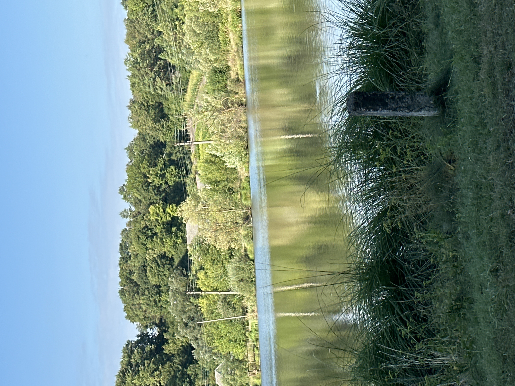 The image depicts a calm body of water reflecting the lush green trees and a clear blue sky. In the foreground, tall grasses and a dark, weathered stone pillar are visible, suggesting a natural, possibly rural, setting. The background features a dense treeline with scattered structures and power lines, hinting at proximity to a populated area. Given the context of the city of Makiv, Ukraine, this scene likely captures a tranquil waterfront area within or on the outskirts of the city, possibly a lake or riverbank, with evidence of human infrastructure present. The overall impression is one of natural beauty and serenity, with a touch of human presence.