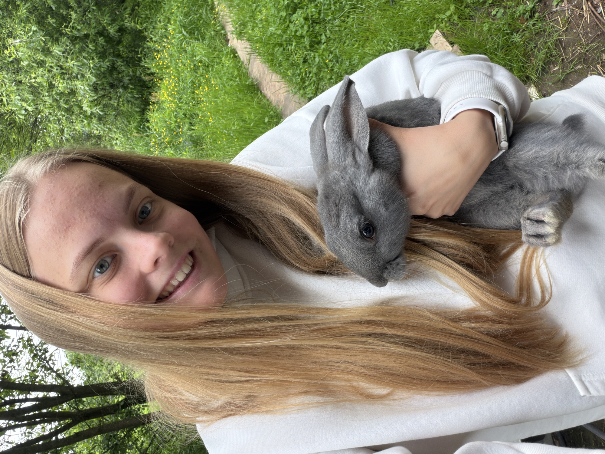 A young person with long, blonde hair is pictured smiling broadly at the camera while gently cradling a small, fluffy grey rabbit. The image is taken from a close perspective, likely a selfie, with the subjects appearing to be outdoors and tilted, possibly lying down or holding the camera at an angle.
The person is wearing a white long-sleeved top or hoodie, and a white Apple Watch is visible on their left wrist. Their expression conveys warmth and happiness, with bright blue eyes and a wide smile. The grey rabbit, featuring dark, alert eyes, is nestled comfortably against the person's chest and hair, appearing calm and at ease.
The background is a vibrant, lush green landscape filled with various trees and grassy areas. Scattered among the grass are small yellow wildflowers, suggesting a pleasant outdoor setting like a garden, park, or a natural woodland edge. A faint wooden or concrete border can be seen in the distant mid-ground, implying a pathway or a defined area within the greenery. The lighting indicates it is daytime, with ample natural light illuminating the scene. The overall mood is peaceful and affectionate, highlighting a tender moment between the person and the animal. There is no visible text in the image.