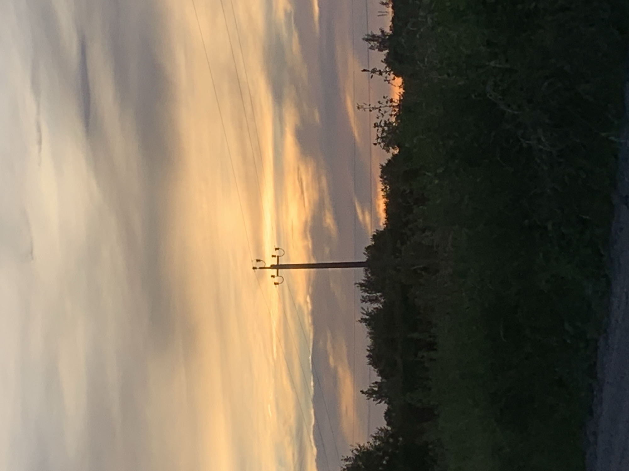 A power pole stands silhouetted against a sunset sky filled with wispy clouds. The sky transitions from a warm orange hue near the horizon to cooler grays and purples higher up. Power lines stretch horizontally across the frame, supported by the pole. In the foreground, a dense line of dark green foliage, possibly trees and bushes, forms a natural barrier. The ground in the very bottom of the image appears to be a dirt or gravel path. The scene is likely located in a rural or semi-rural area, possibly on the outskirts of Gvardeysk, Russia.