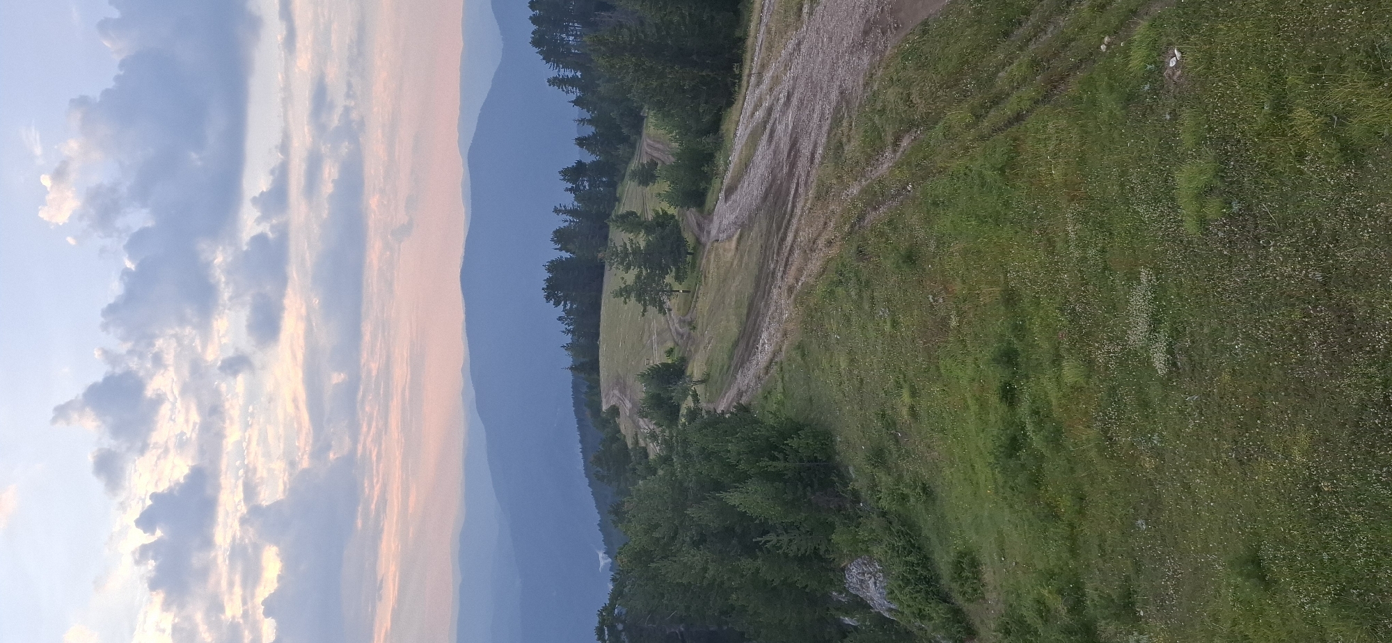 The image shows a panoramic view of a mountainous landscape at dusk, likely near the village of Gyovren, Bulgaria. The sky is filled with soft, pastel-colored clouds, transitioning from pale blue to hues of pink and orange near the horizon. Below the sky, layered mountain ranges recede into the distance, their peaks silhouetted in shades of blue and purple.
In the foreground, a grassy hillside slopes downwards, dotted with small wildflowers. A winding dirt road or track cuts across the hillside, branching into multiple paths. The road appears to be made of gravel and dirt, with tire tracks visible. Patches of green grass and scattered trees, primarily pines, cover the slopes. To the left, a rocky outcrop is visible amidst the dense green foliage. The overall scene conveys a sense of tranquility and natural beauty during the twilight hours. There are no people or animals visible in the image.