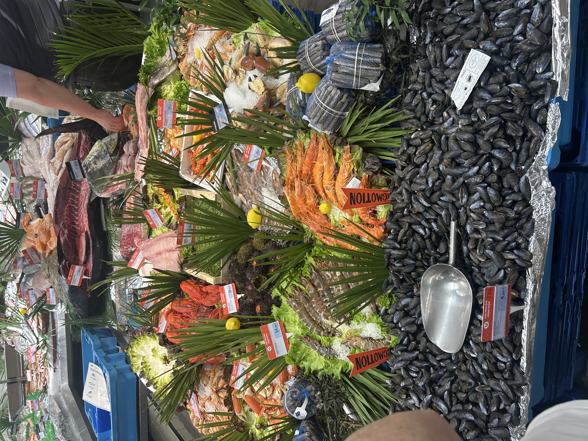 This is an eye-level, medium shot of a well-stocked seafood display in a Le Port-Marly, France marketplace, likely a supermarket. The display is abundant with various types of fresh seafood, including large shrimp, lobsters, mussels, and what appears to be some whole fish and fish fillets. The seafood is arranged attractively on beds of ice and lettuce, garnished with palm leaves and lemons. Several price tags are visible, with one indicating "Moules Bouchot" priced at "4,99 €". A stainless steel scoop rests on a large pile of black mussels in the foreground. A person's arm and torso are partially visible on the left side of the frame, suggesting they are either a customer or an employee. Another person, whose hand is visible reaching towards the seafood, appears to be a vendor or staff member. The overall environment is that of a bustling retail setting with blue plastic crates visible in the background, suggesting a commercial context.
